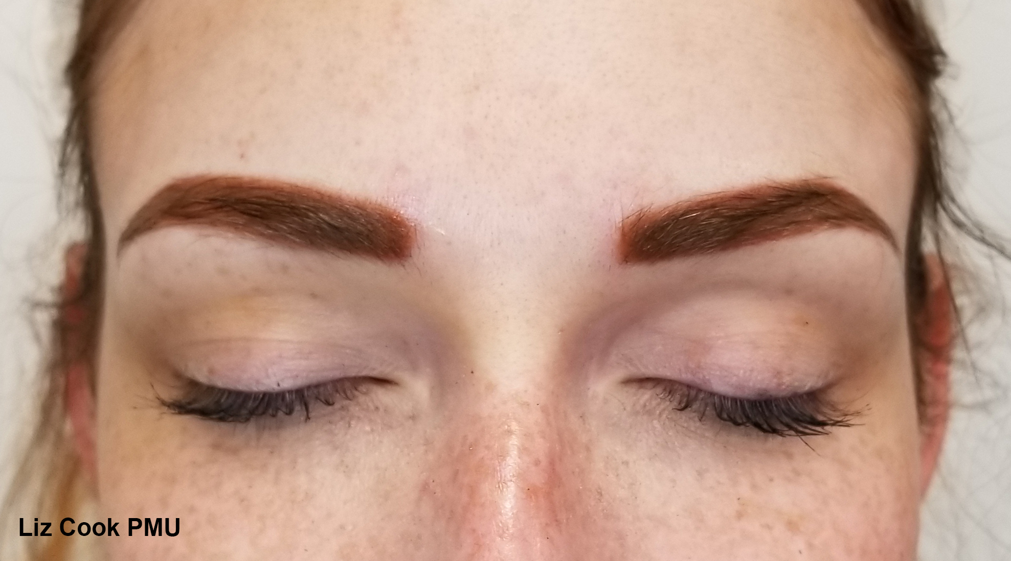 Liz Cook PMU EM Dark Strawberry Blonde Brows Dallas TX Permanent Cosmetics.jpg