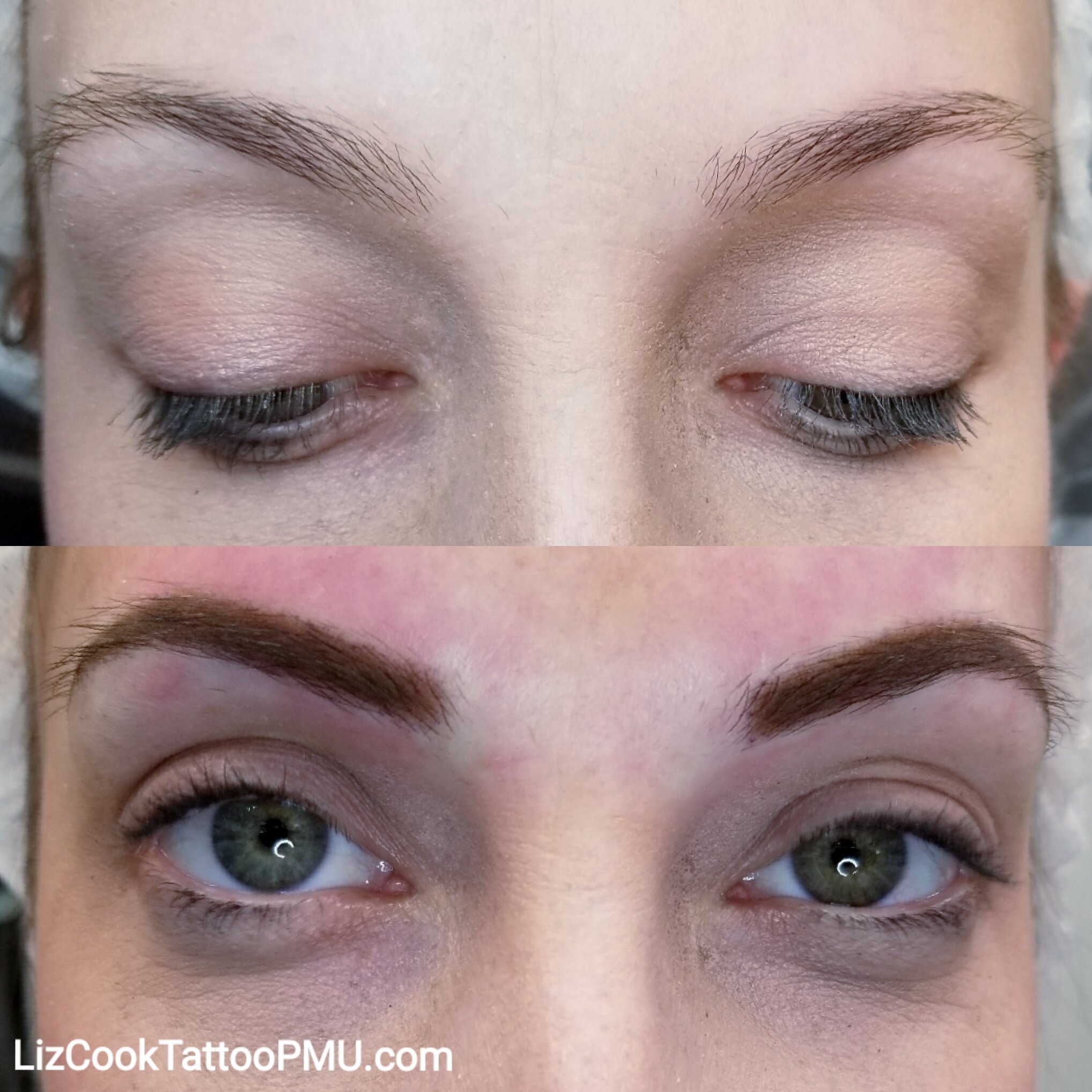 Liz Cook Tattoo PMU Before and After Powder Brow1.jpg