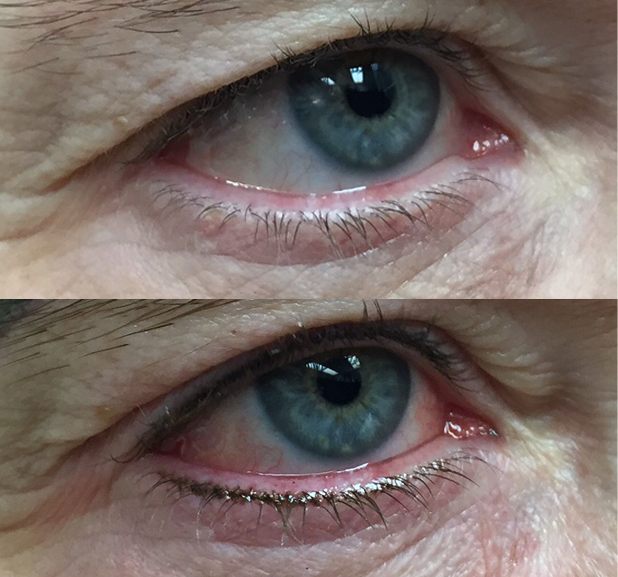 Liz Cook Tattoo Permanent Makeup Eyeliner Lash Enhancement Before After.jpg