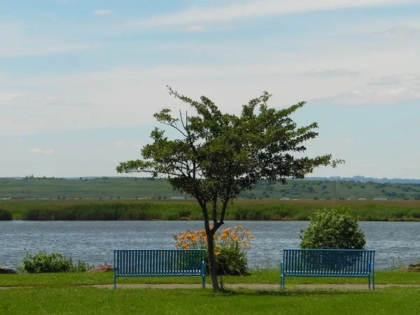 laurel hill park nj.jpg