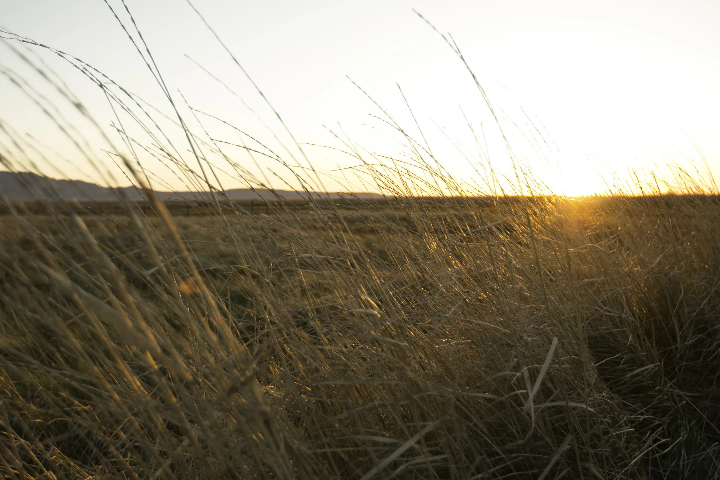 FPJ Photography-104.jpg