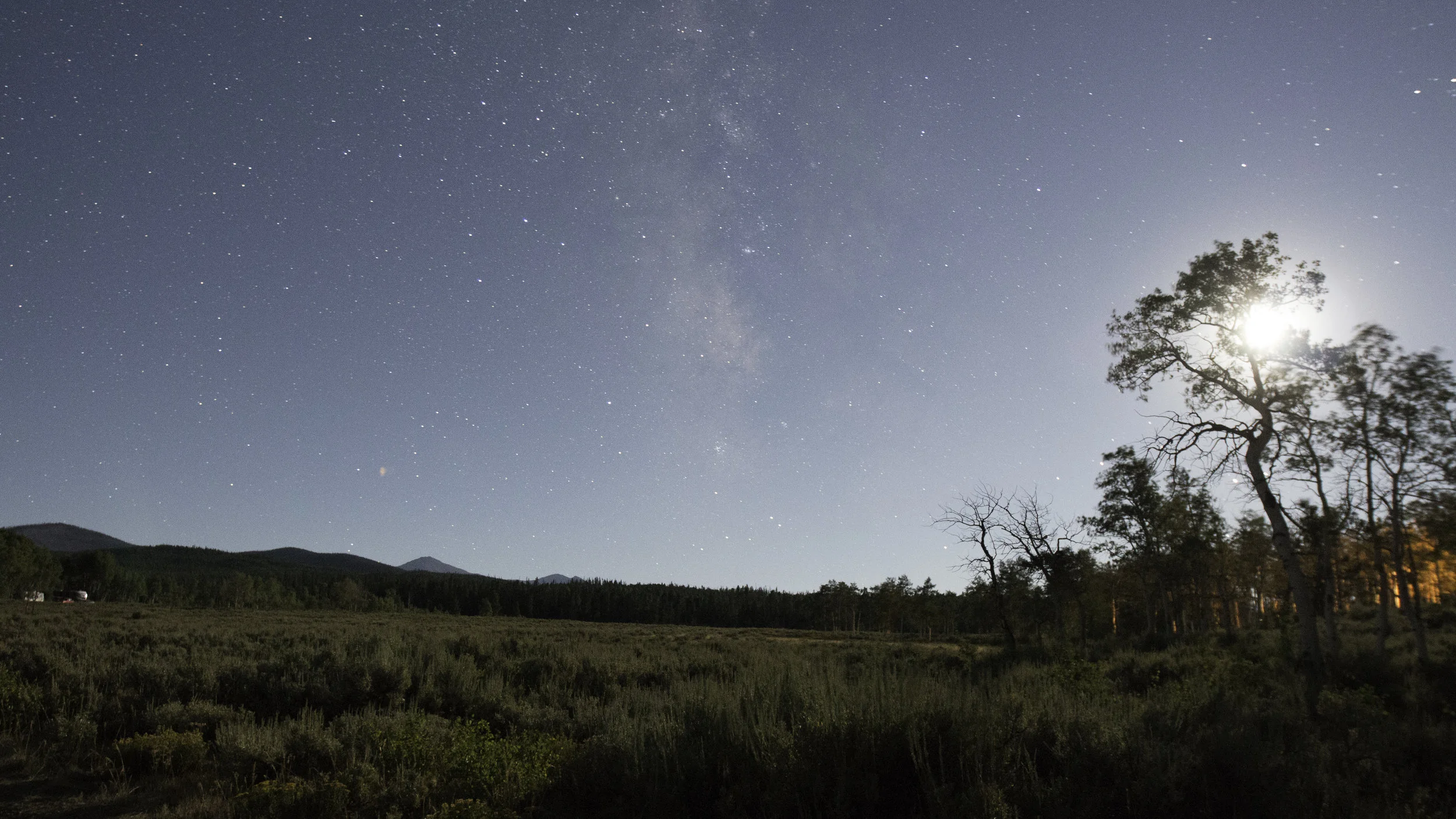 FPJ Photography-107.jpg