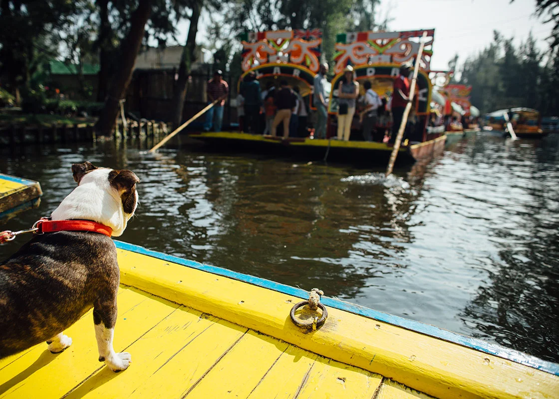Xochimilco-58.jpg