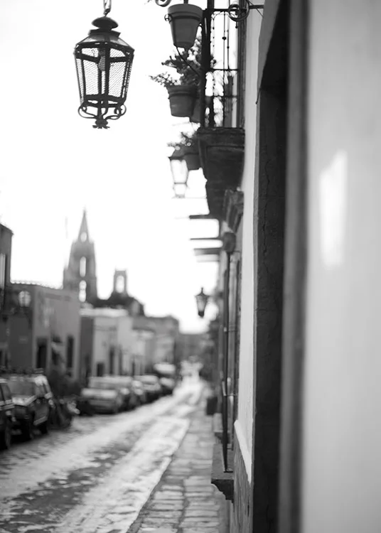 Jenny-y-Moi-boda-San-Miguel-de-Allende065.jpg