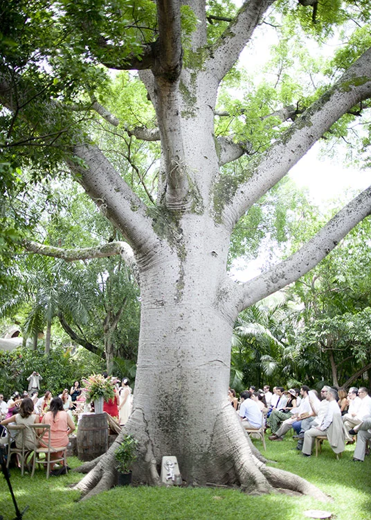 Boda-de-Ale-y-Carlos-en-Hacienda-163.jpg