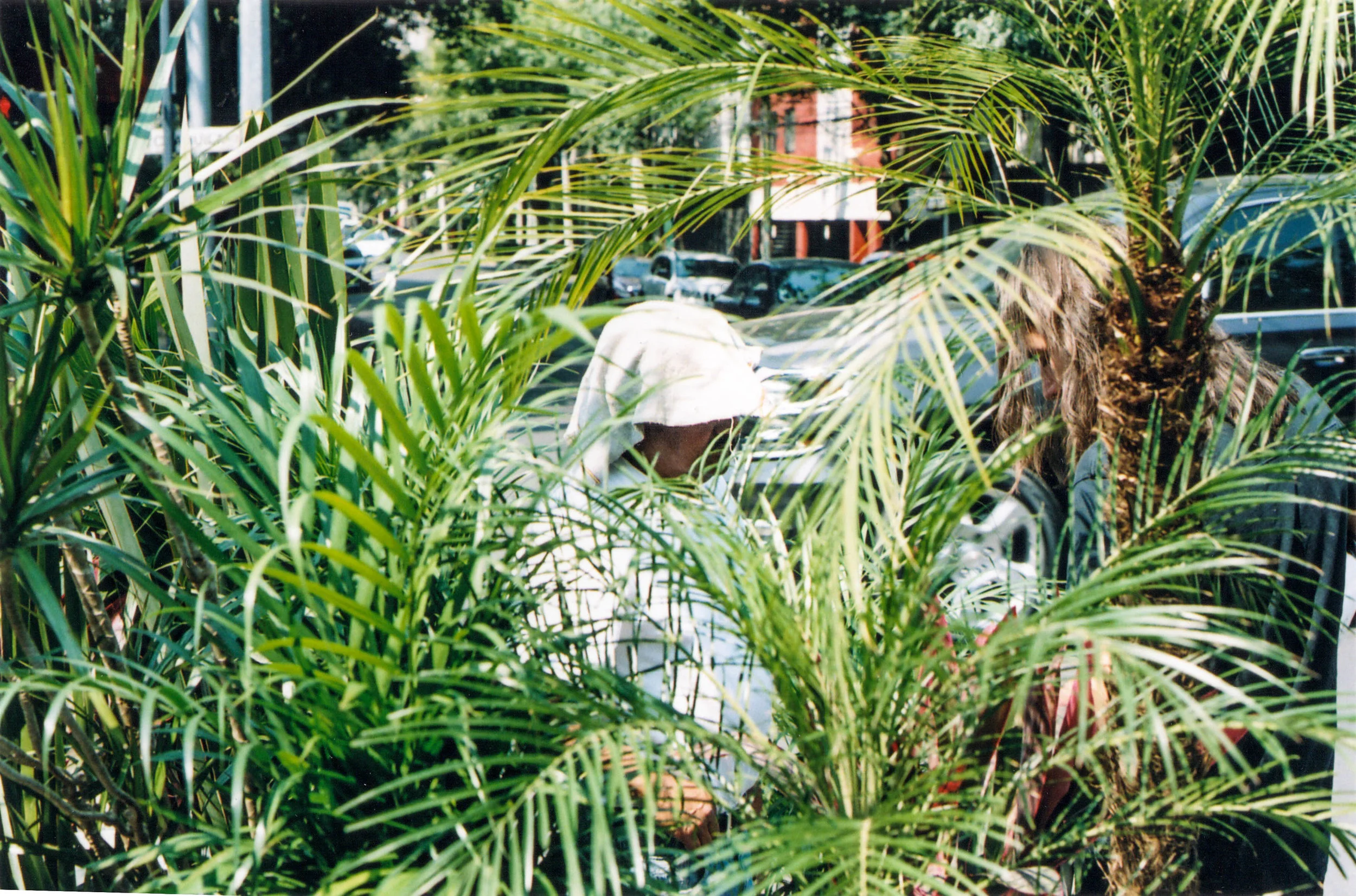 Scan 18.jpg