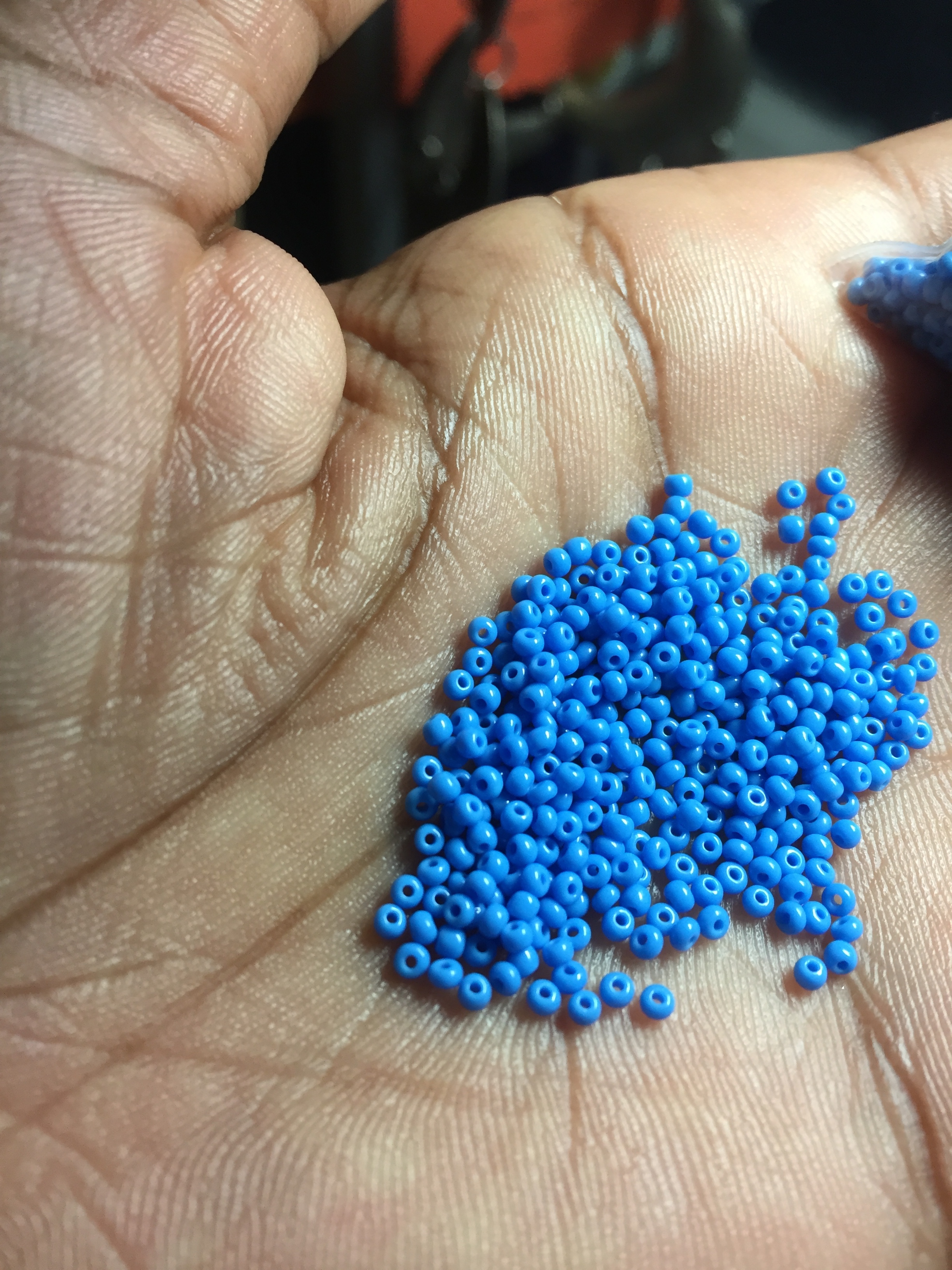Perfect size 13 Czech seed beads.