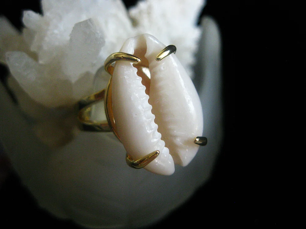 claws out cowrie shell ring ta meu bem jewelry.jpg