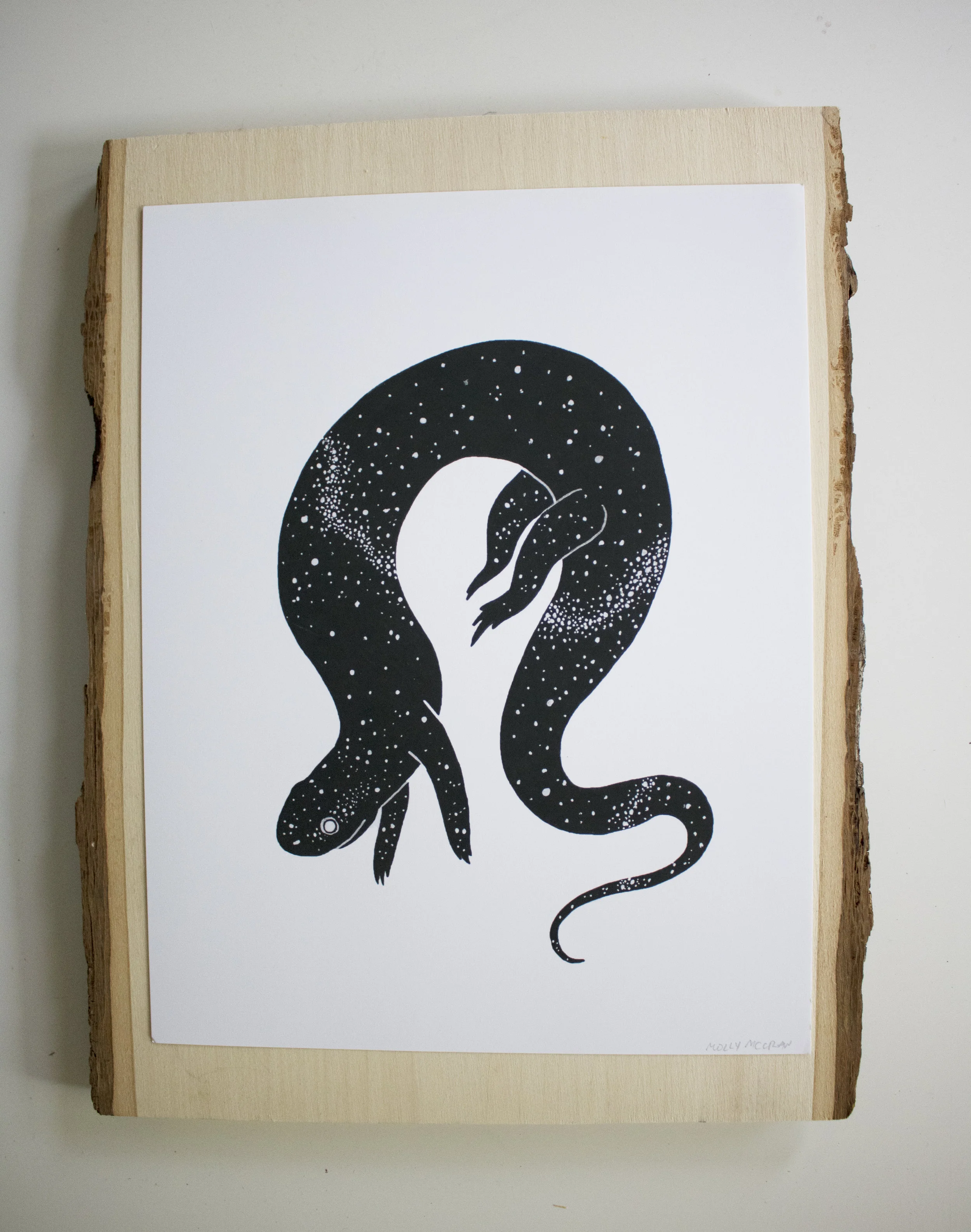 GalaxySalamanderPrint.jpg