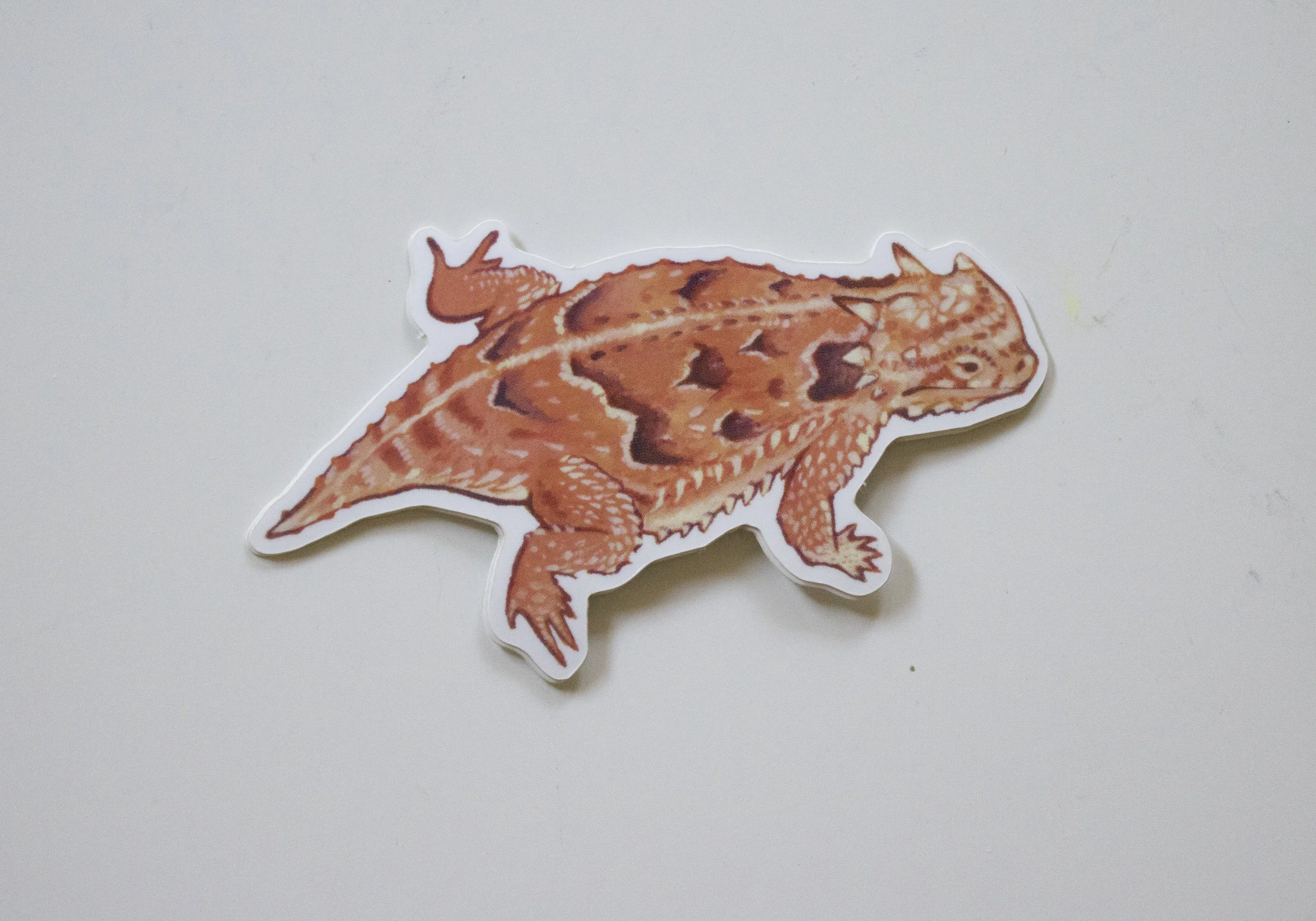 HornToadSticker.jpg