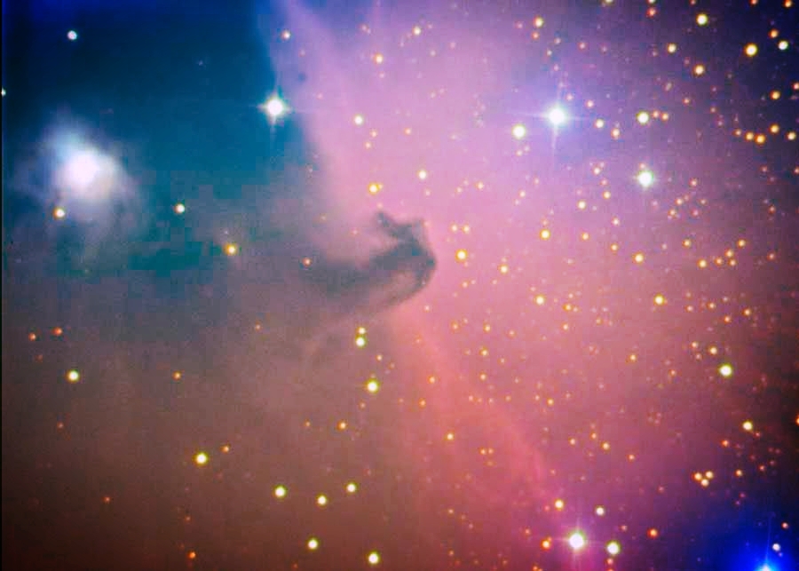 Horsehead Nebula.jpg