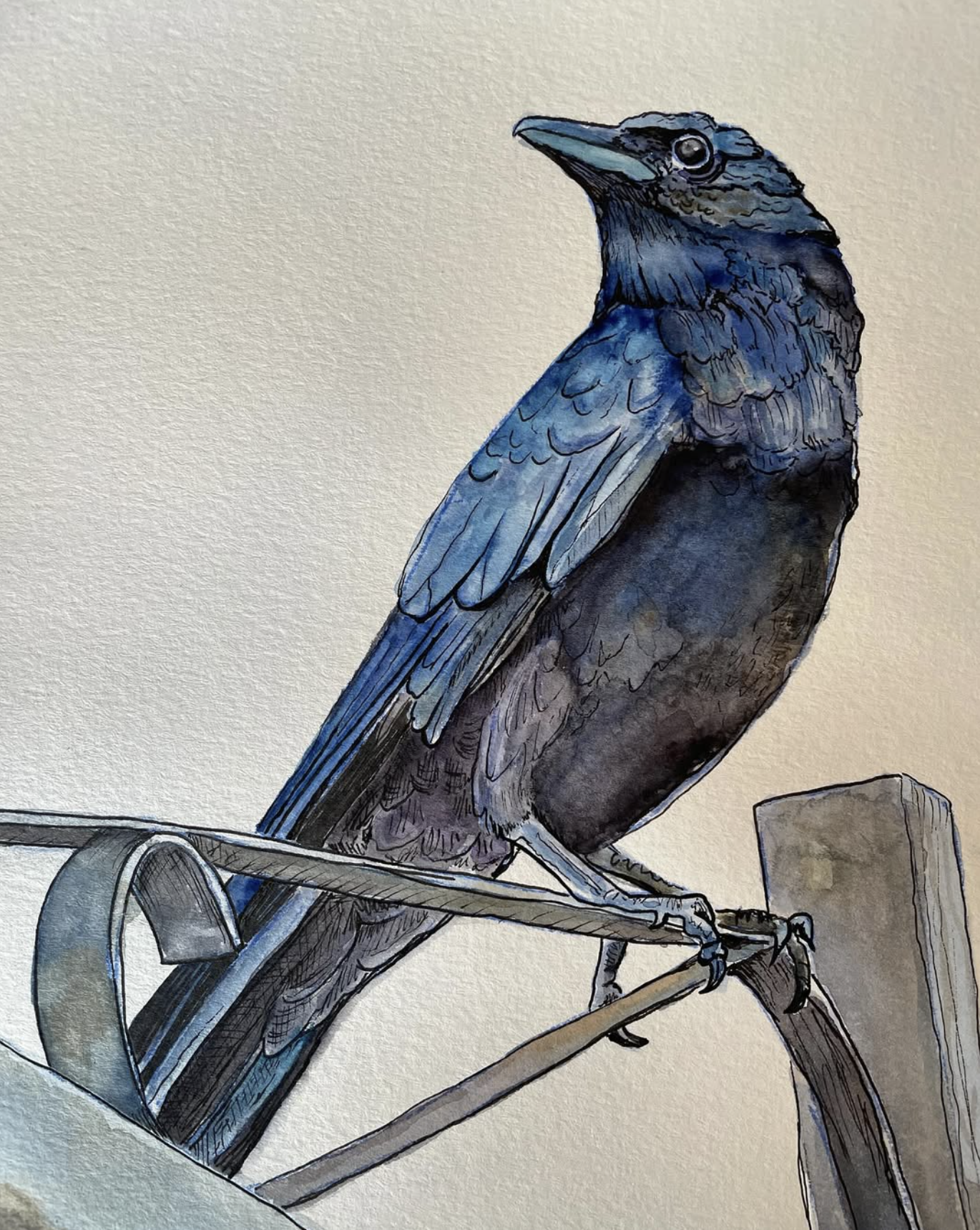 Crow Bro. Watercolor and ink.
