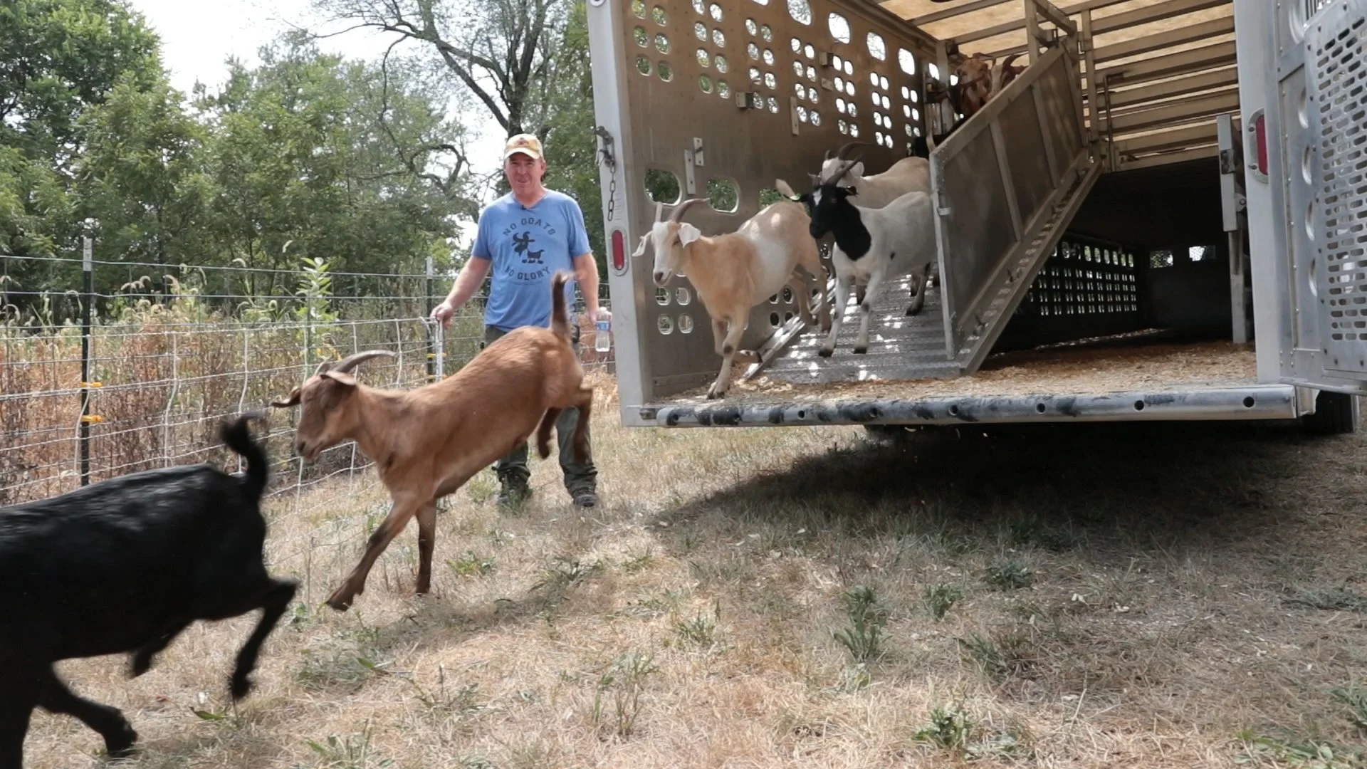 Goats Crowdfunding.00_00_09_12.Still004.jpg