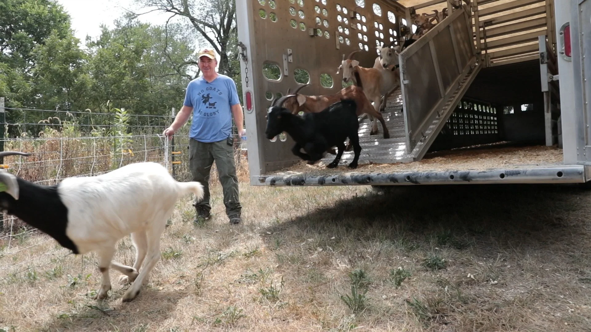 Goats Crowdfunding.00_00_07_12.Still003.jpg
