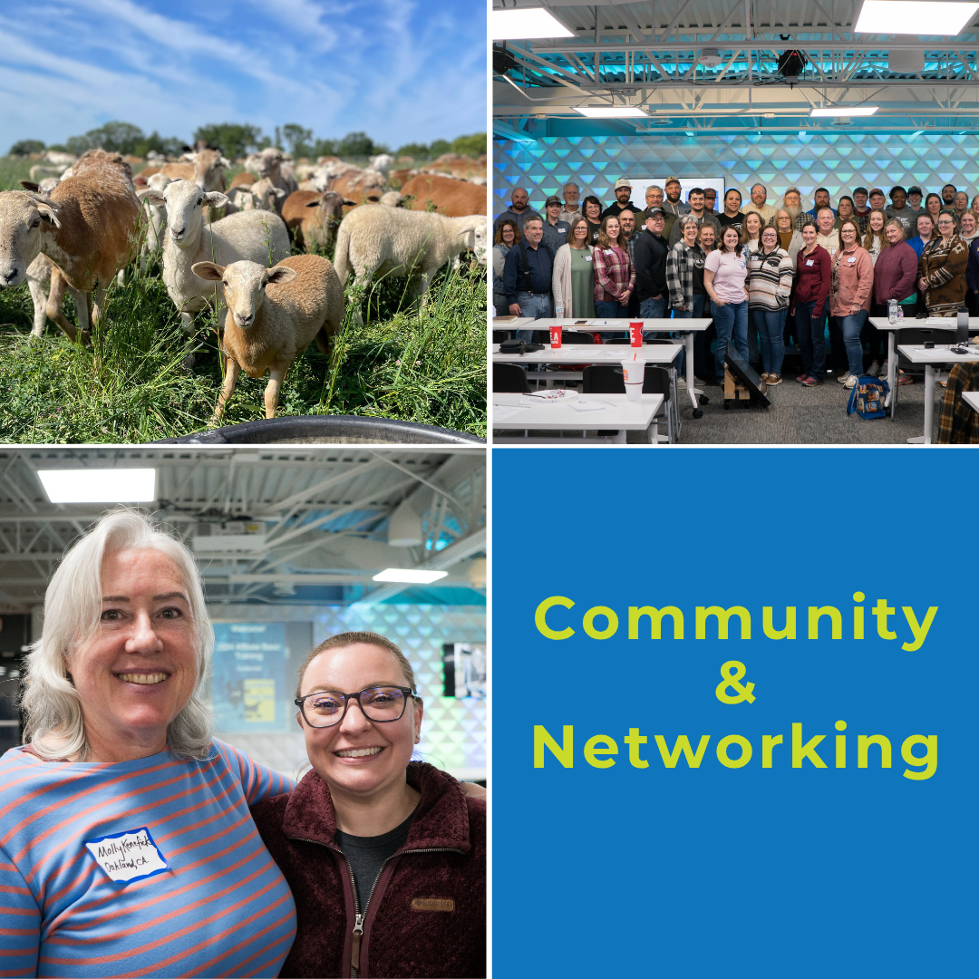 Community & Networking: an essential pillar of Goats On The Go® Membership