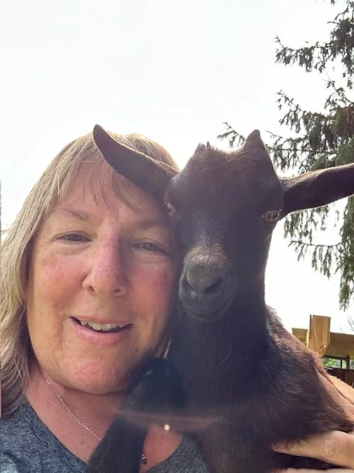 Goats On The Go® Niagara **Coming in Spring 2025!**  Operated by Crazi Acre Farm LLC  Serving Niagara Falls, Tonawanda, and Lockport in New York, and surrounding areas.