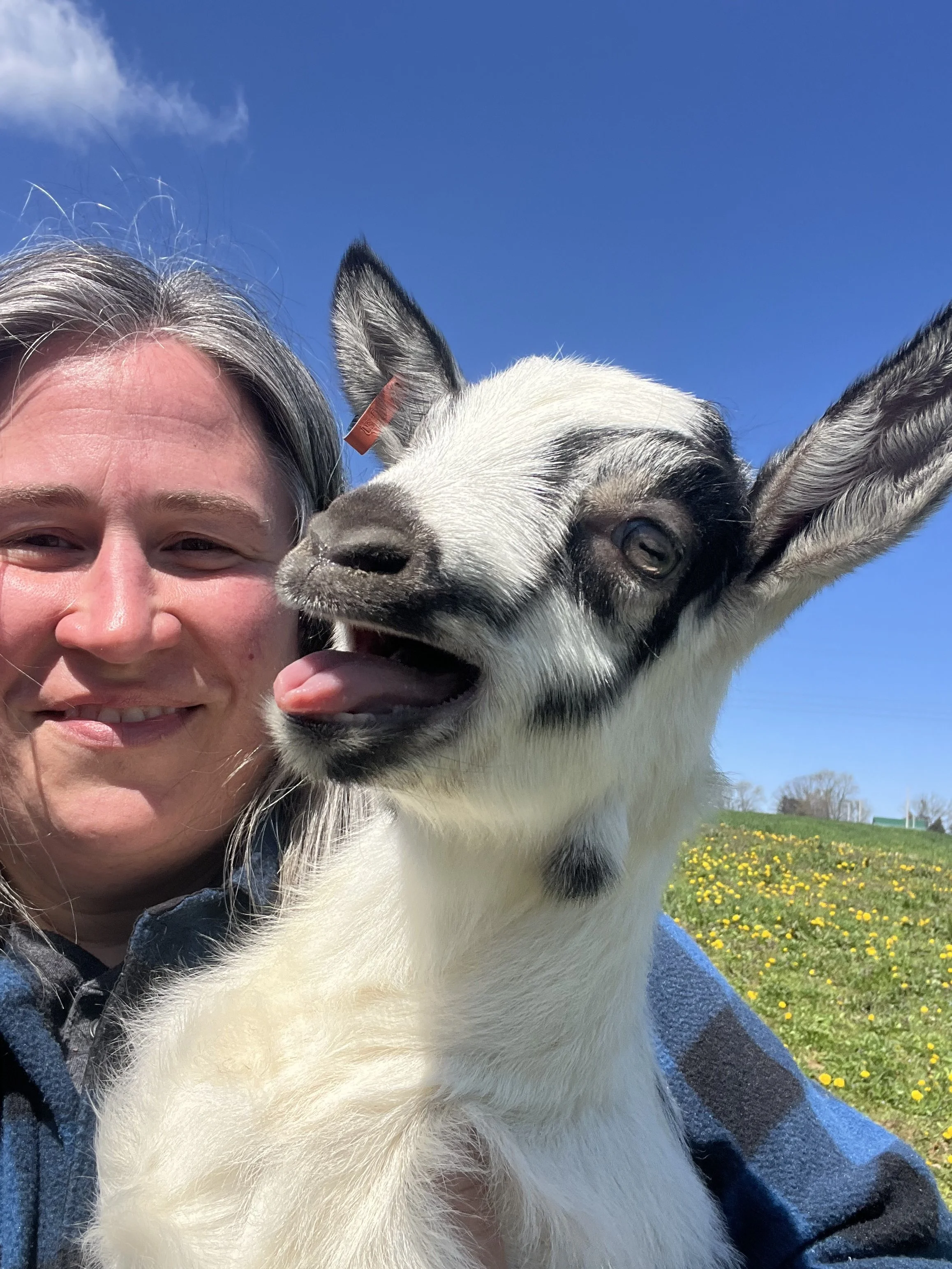 Goats On The Go® Canton Operated by Alexis Dragovich
