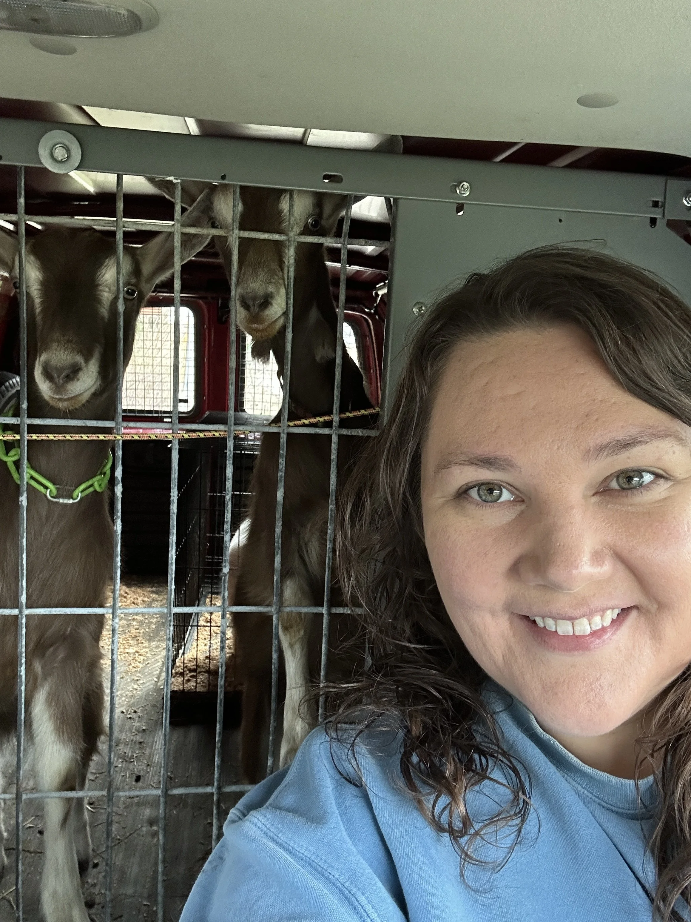 Goats On The Go® Lancaster  Operated by Hannah Hettinger