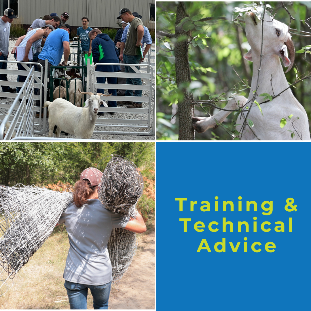 Training & Technical Support: an essential pillar of Goats On The Go® Membershiphip