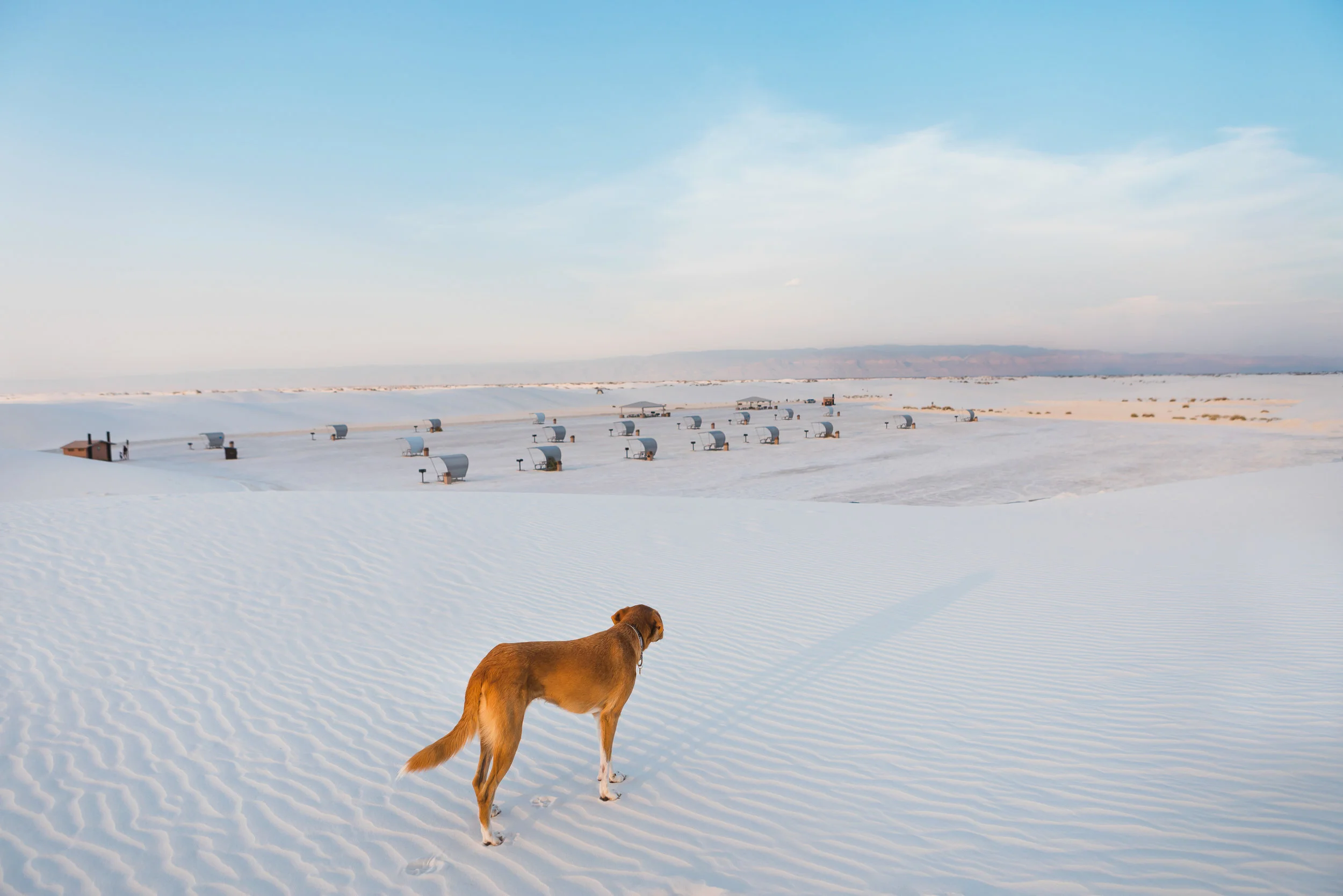 White Sands National Monument, NM | June 2017