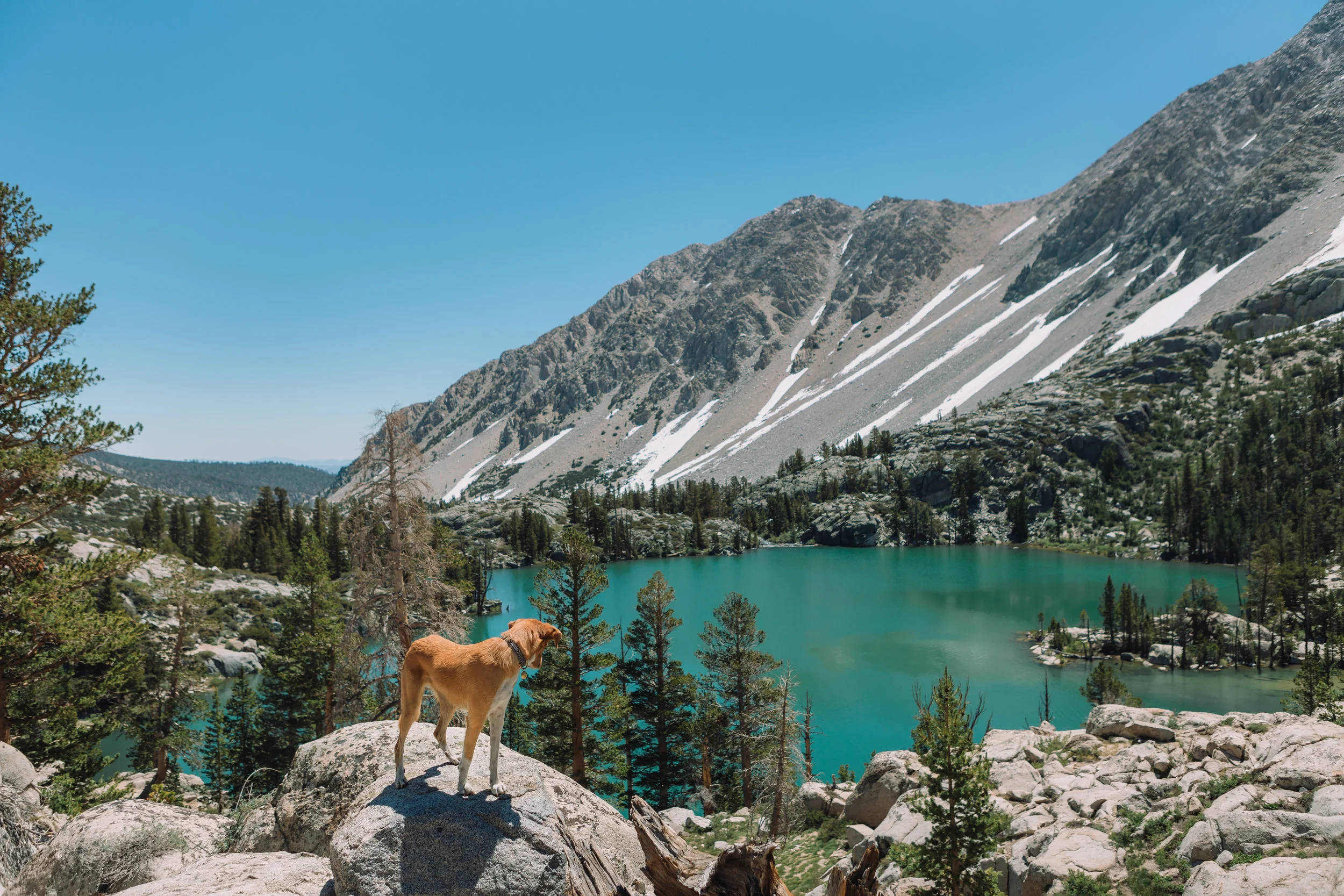 First Lake, John Muir Wilderness, CA | July 2016