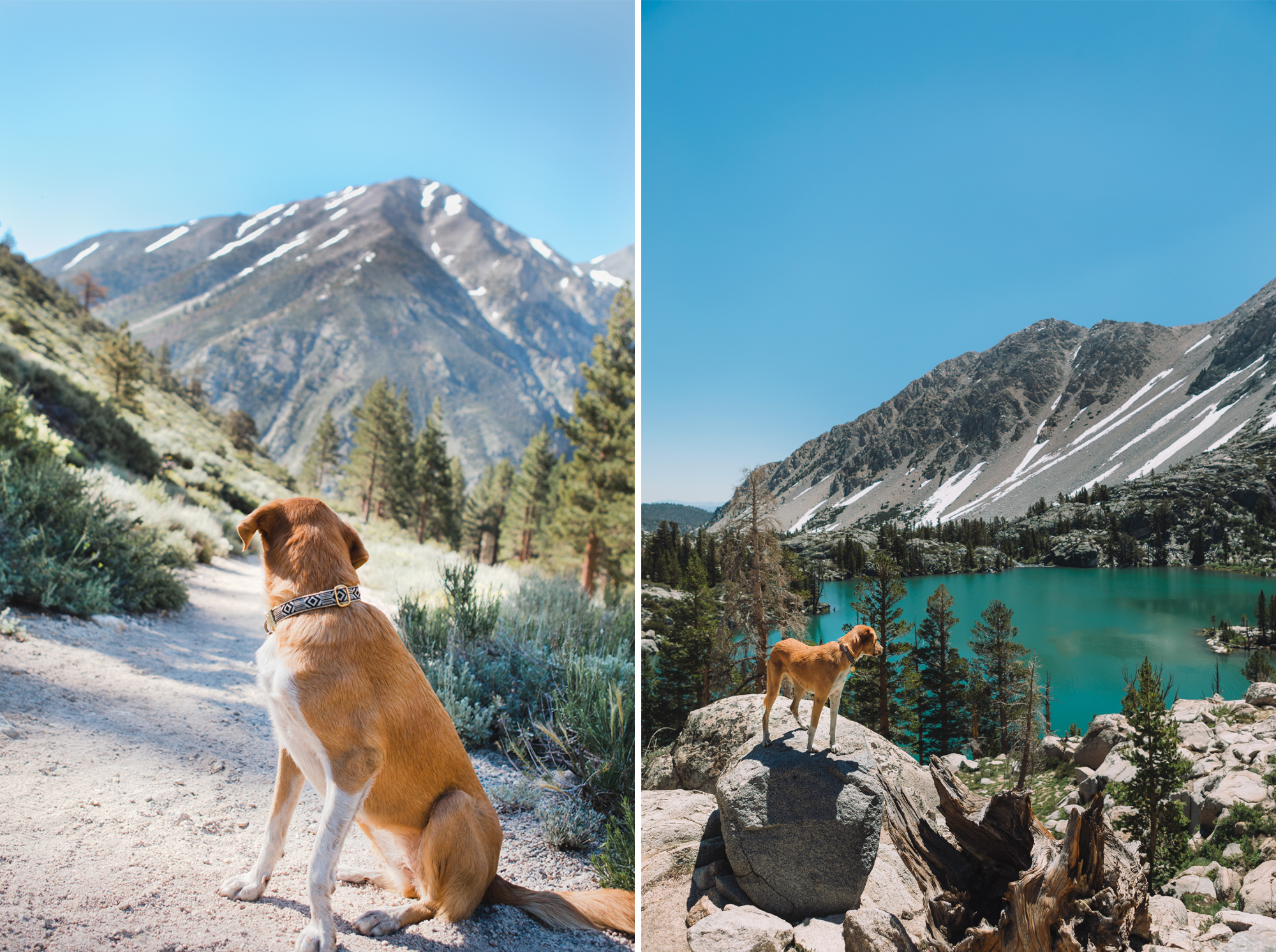 John Muir Wilderness, CA | July 2017