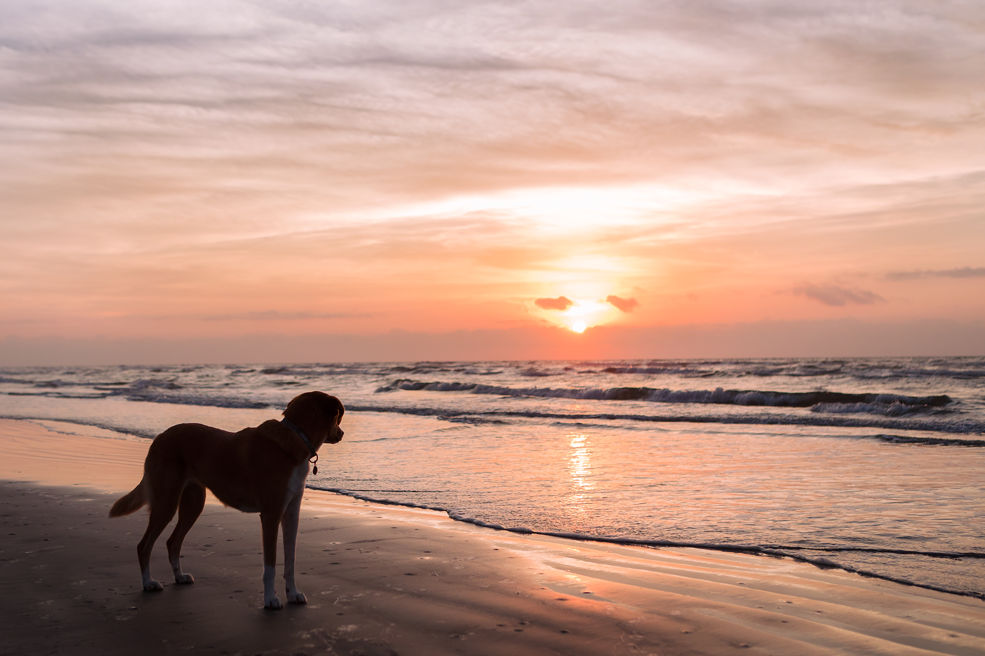 The sunrise had the sky shifting in a kaleidoscope of constantly changing colors. | Padre Island National Seashore, Texas | June 2018