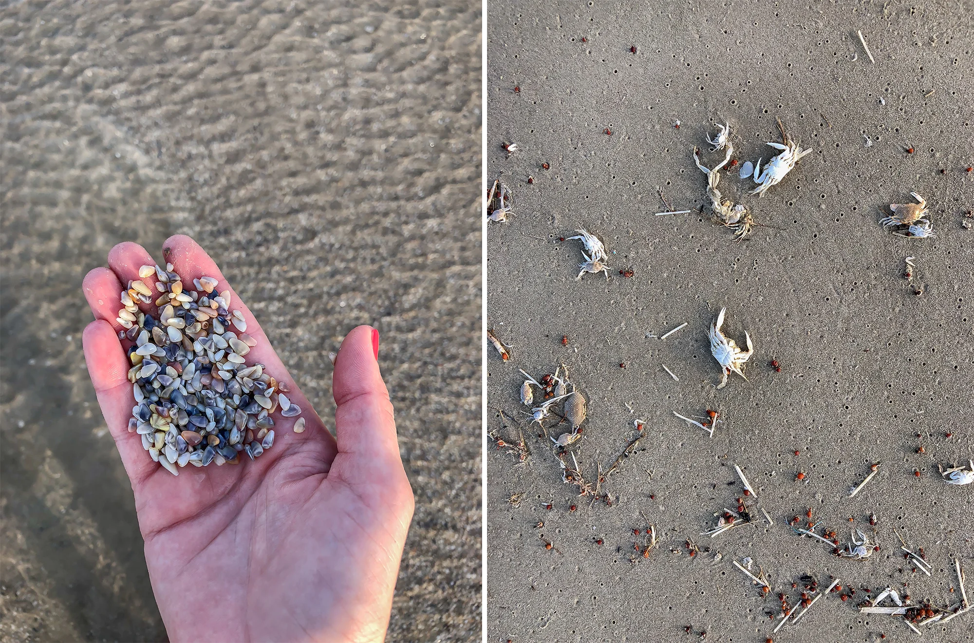 Beach color palette. | Padre Island National Seashore, Texas | June 2018