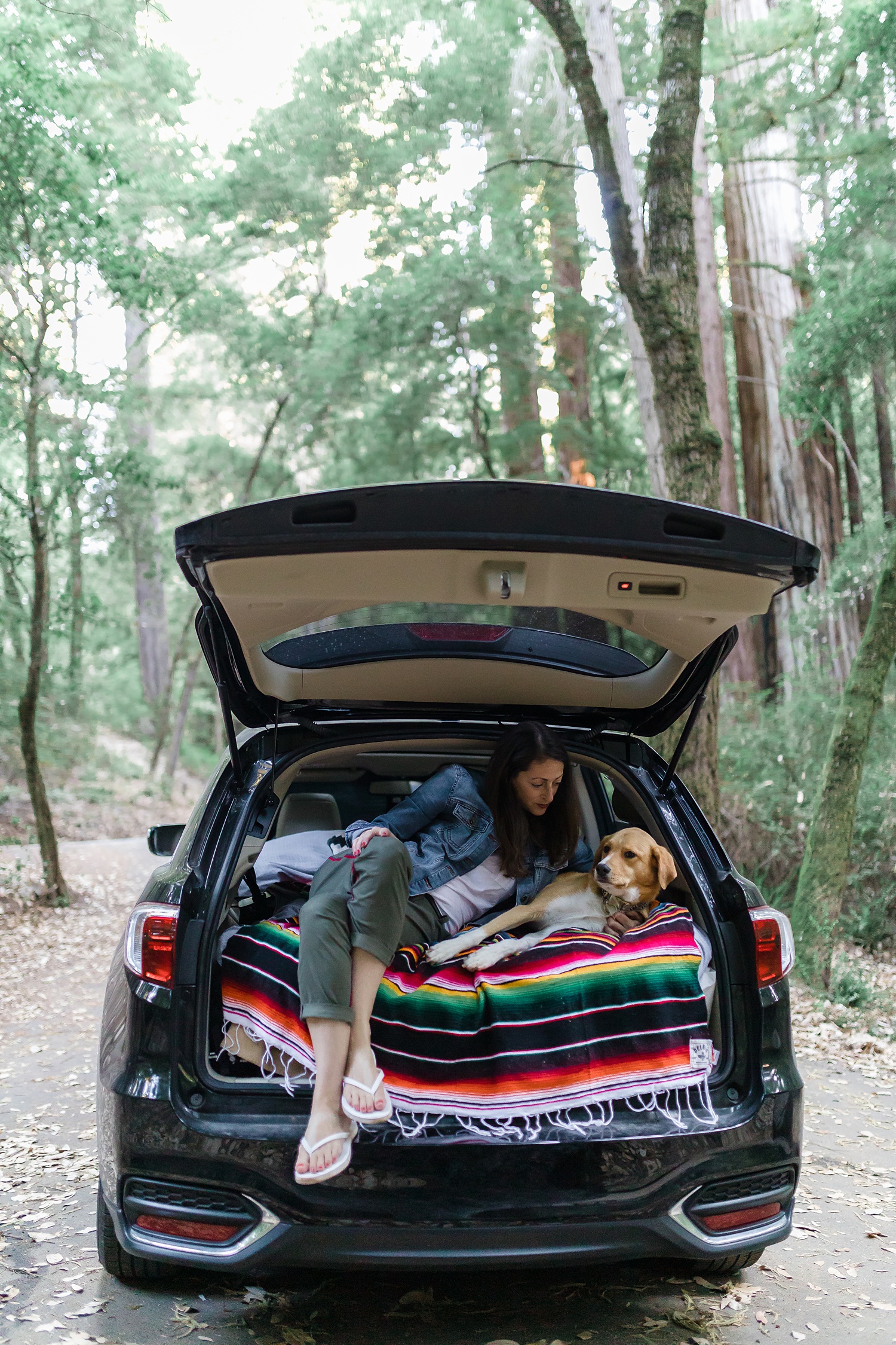 Santa Cruz Mountains, CA | August 2019