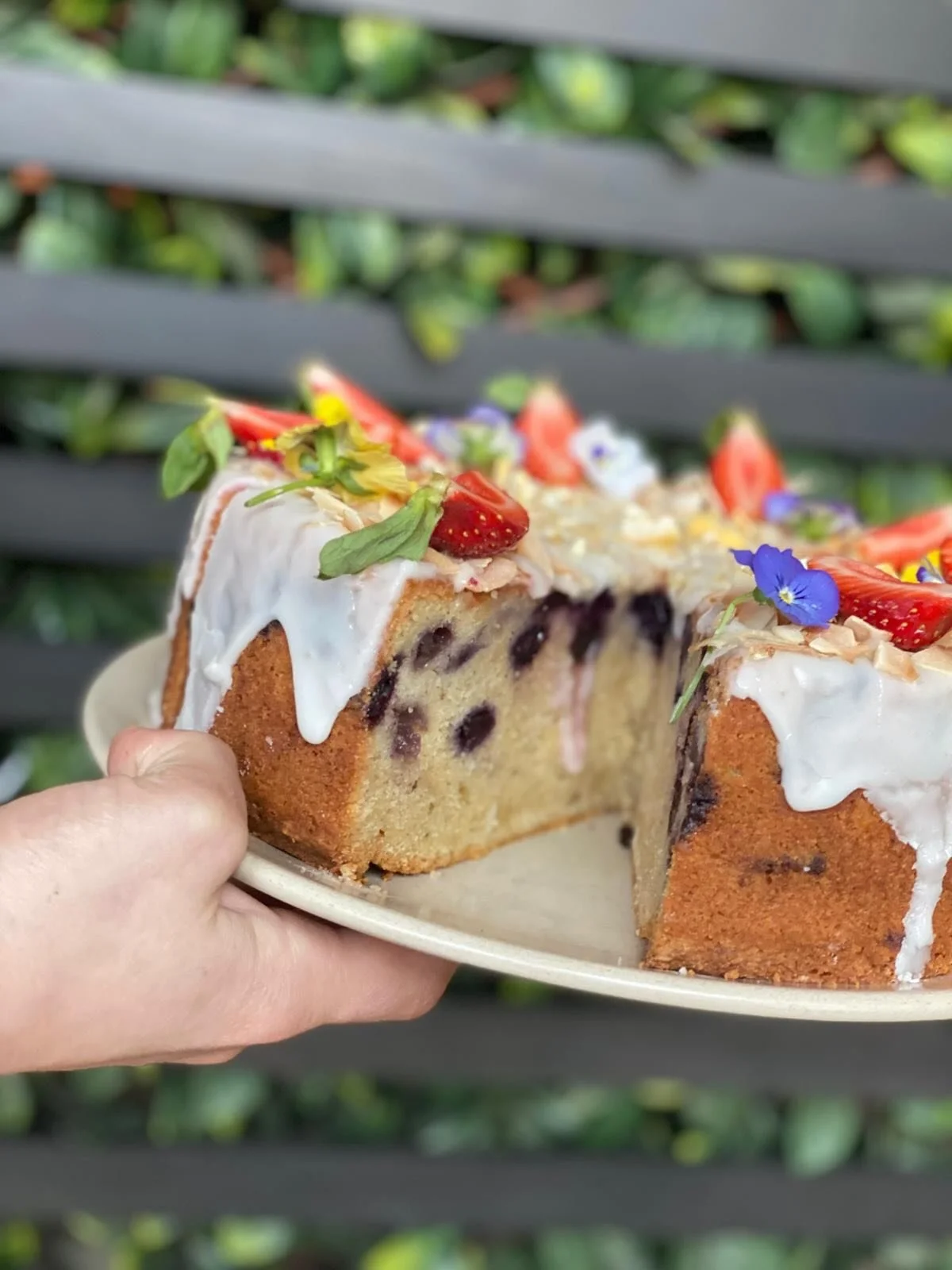 Blueberry Lemon Coconut Cake and baked cheesecake 🤤