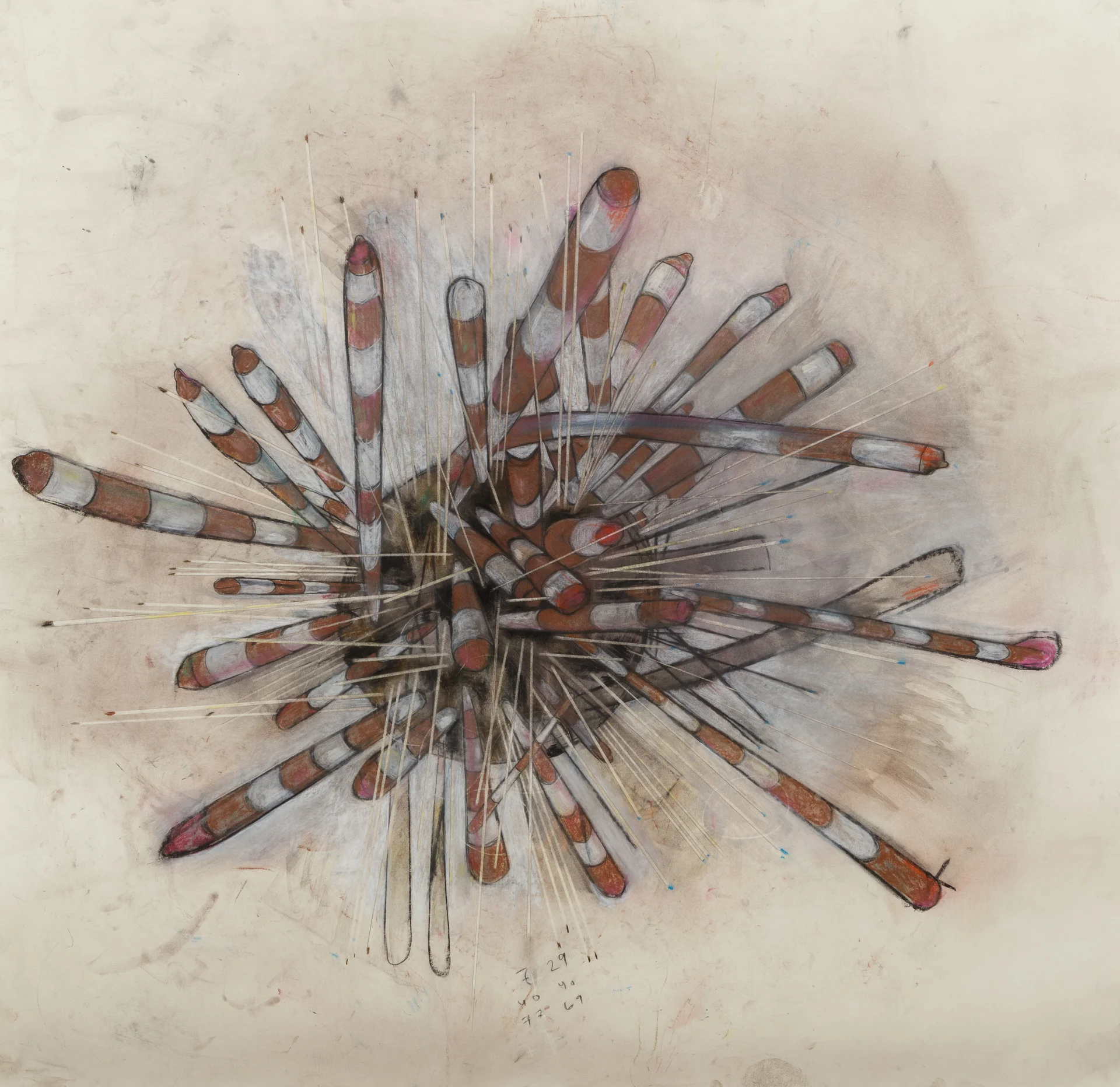 "Banded Sea Urchin" , 2016 Charcoal, conte, chalk pencil on paper, 44 1/2"x44 1/2" Courtesy Alana Roth & Carrie Able Gallery