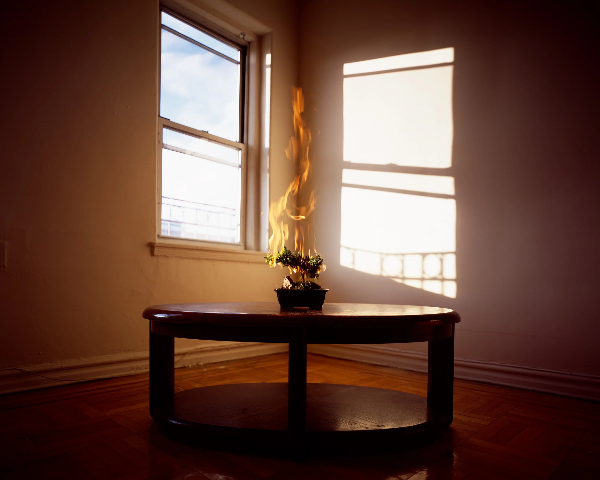 "The Burning Bush" , 2013 Archival pigment print, 16”x20” Courtesy Yoav Friedlander & Carrie Able Gallery