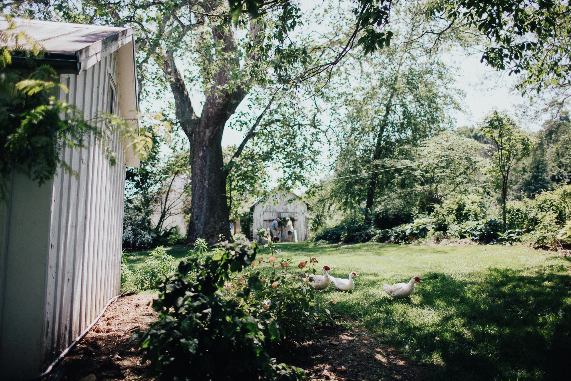 Katie+Brad(websize)-229.jpg
