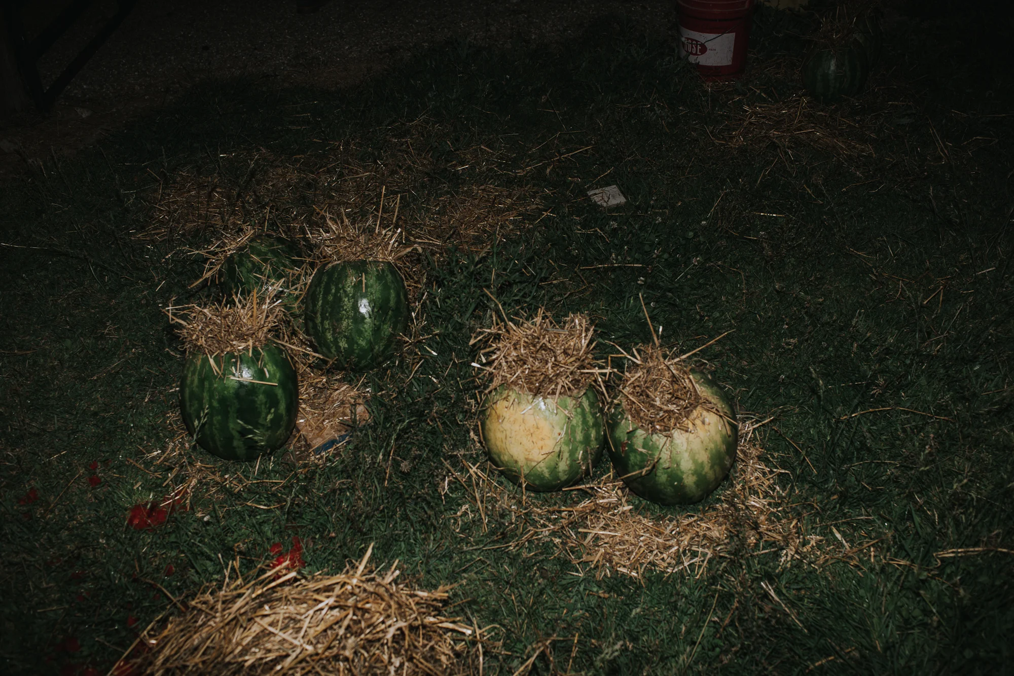 Katie+Brad(websize)-1446.jpg
