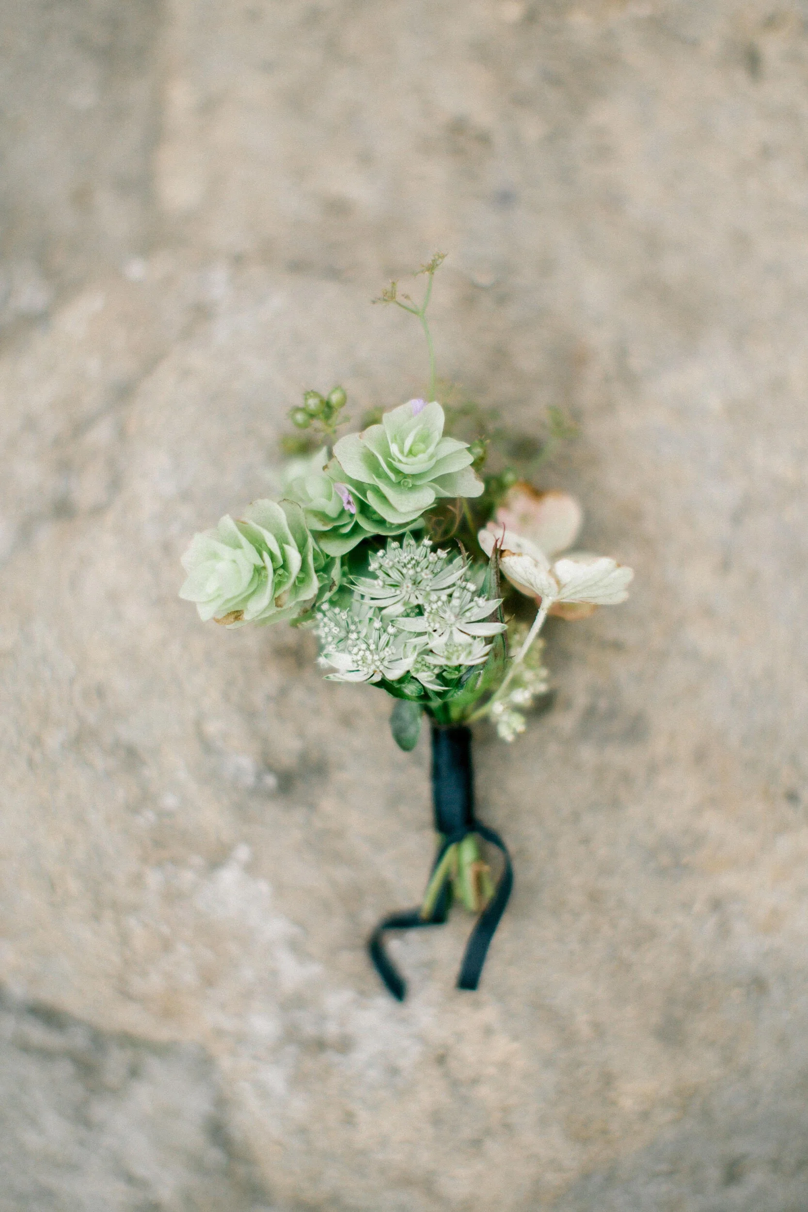unnamed (50).jpg