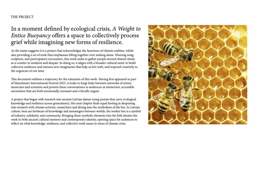 4 AWTEB Project Deck.jpg