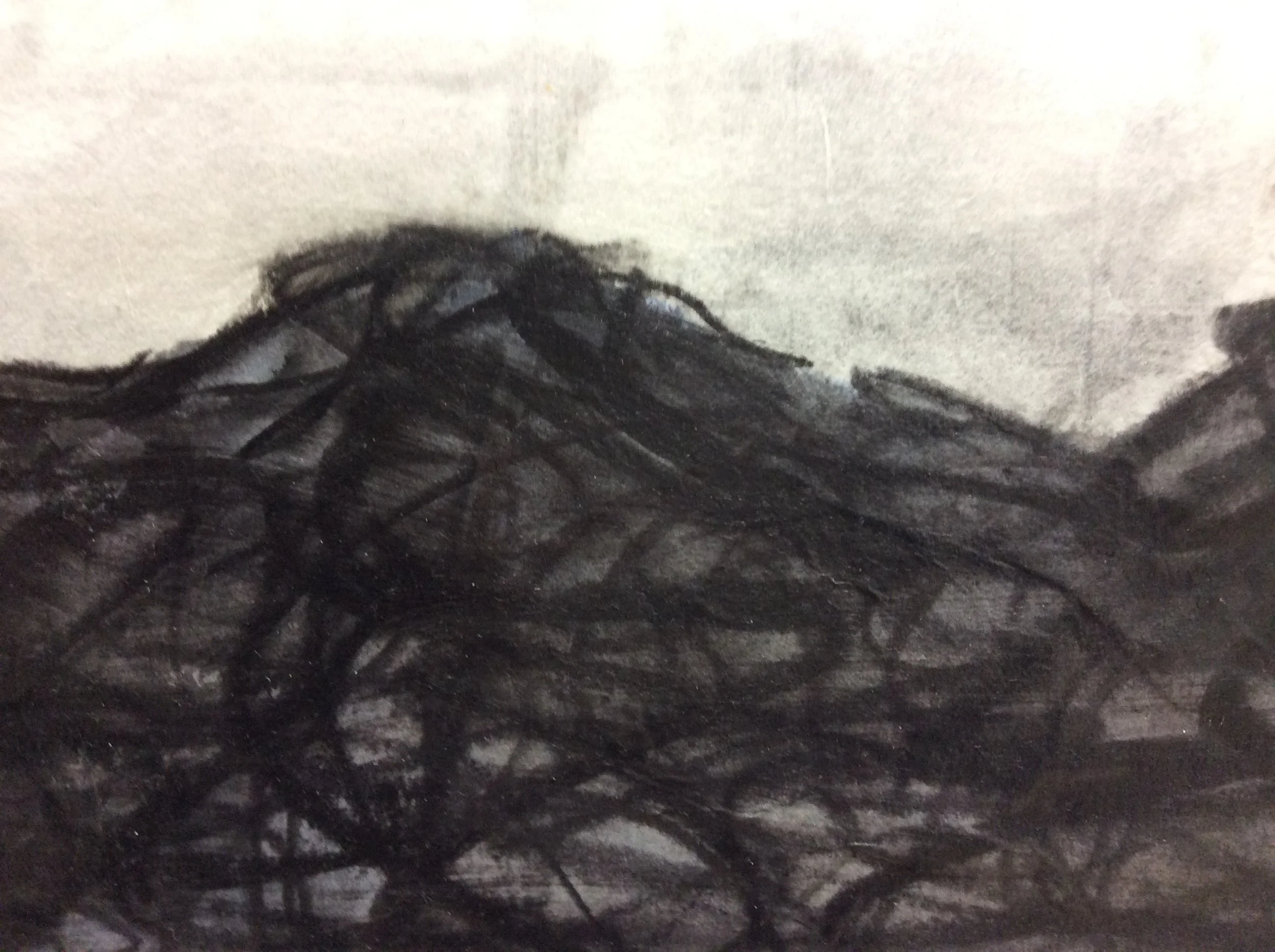 Detail, Solitary Determination– water-soluble graphite on paper, glazing medium, water ski, hardware, custom steel brackets. 2019