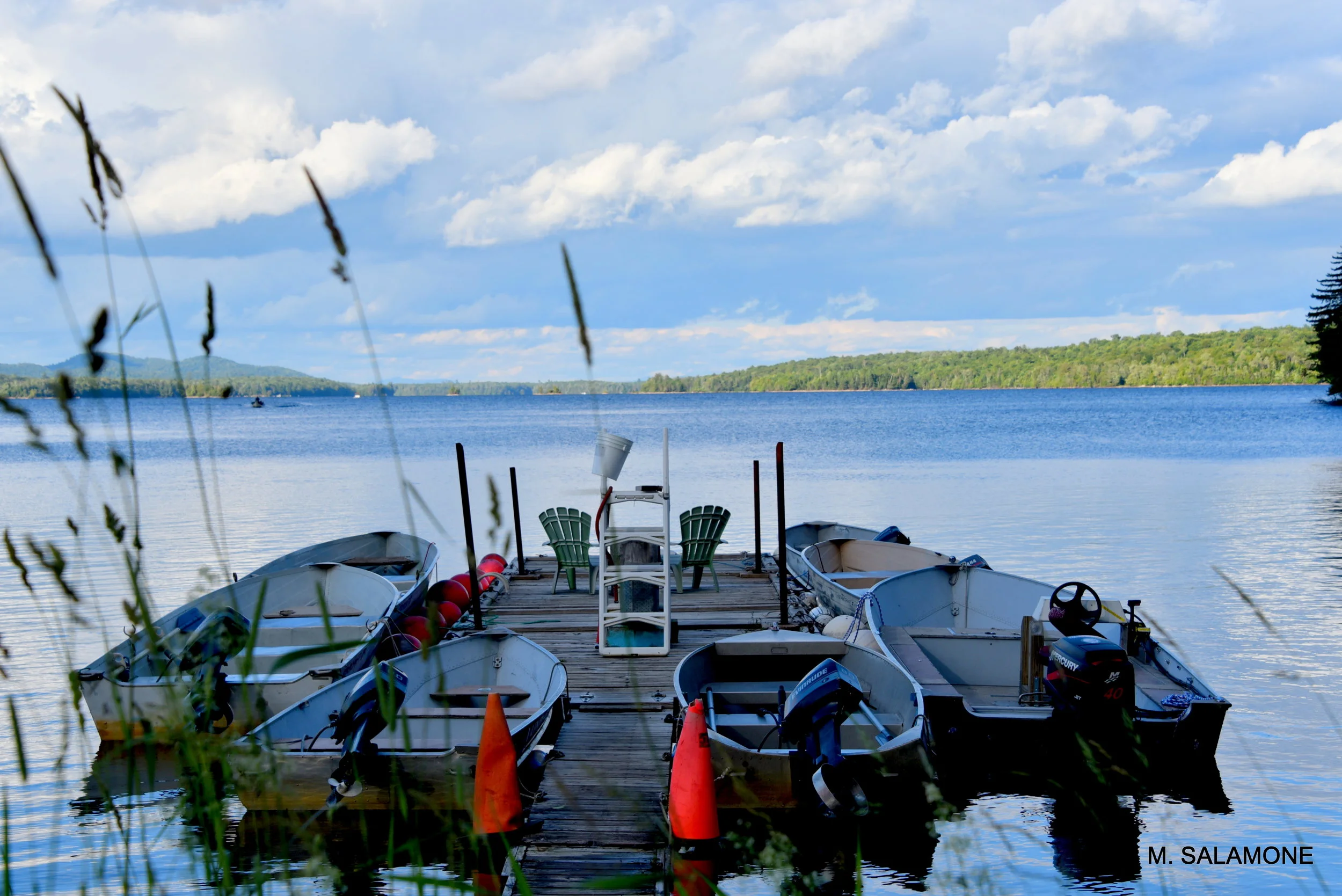 1-DSC_4003.JPG