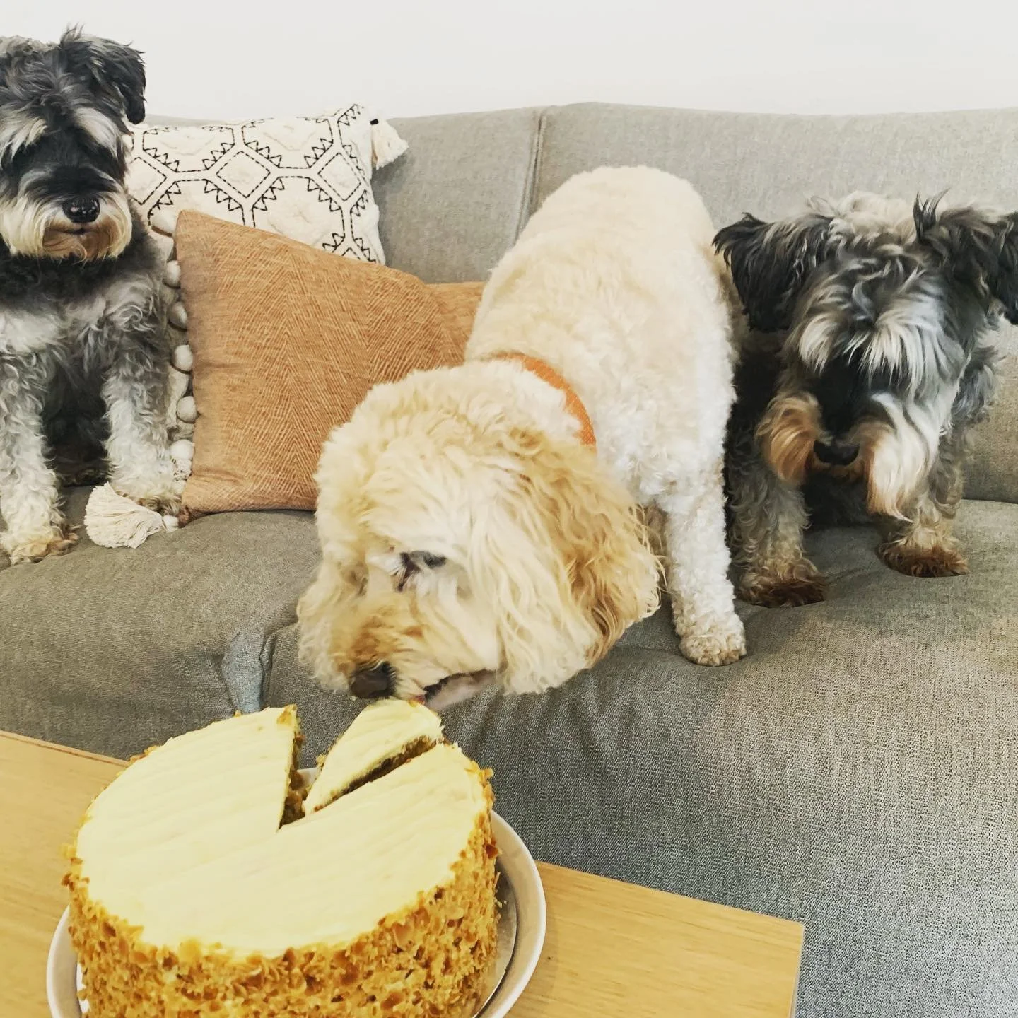 Another year&hellip; another cake party&hellip; with friends for this double digit milestone 🥳 Happy Birthday little man xx