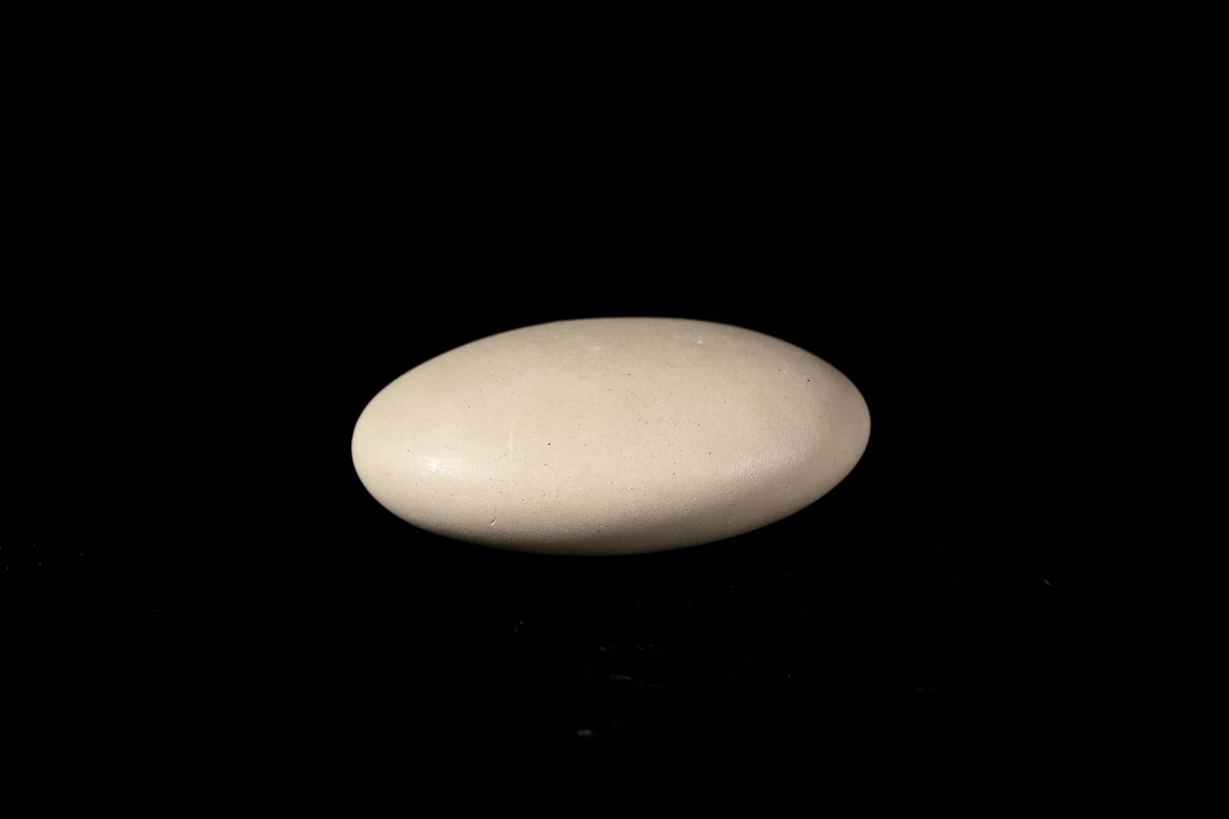 website products_mini - 0.jpg