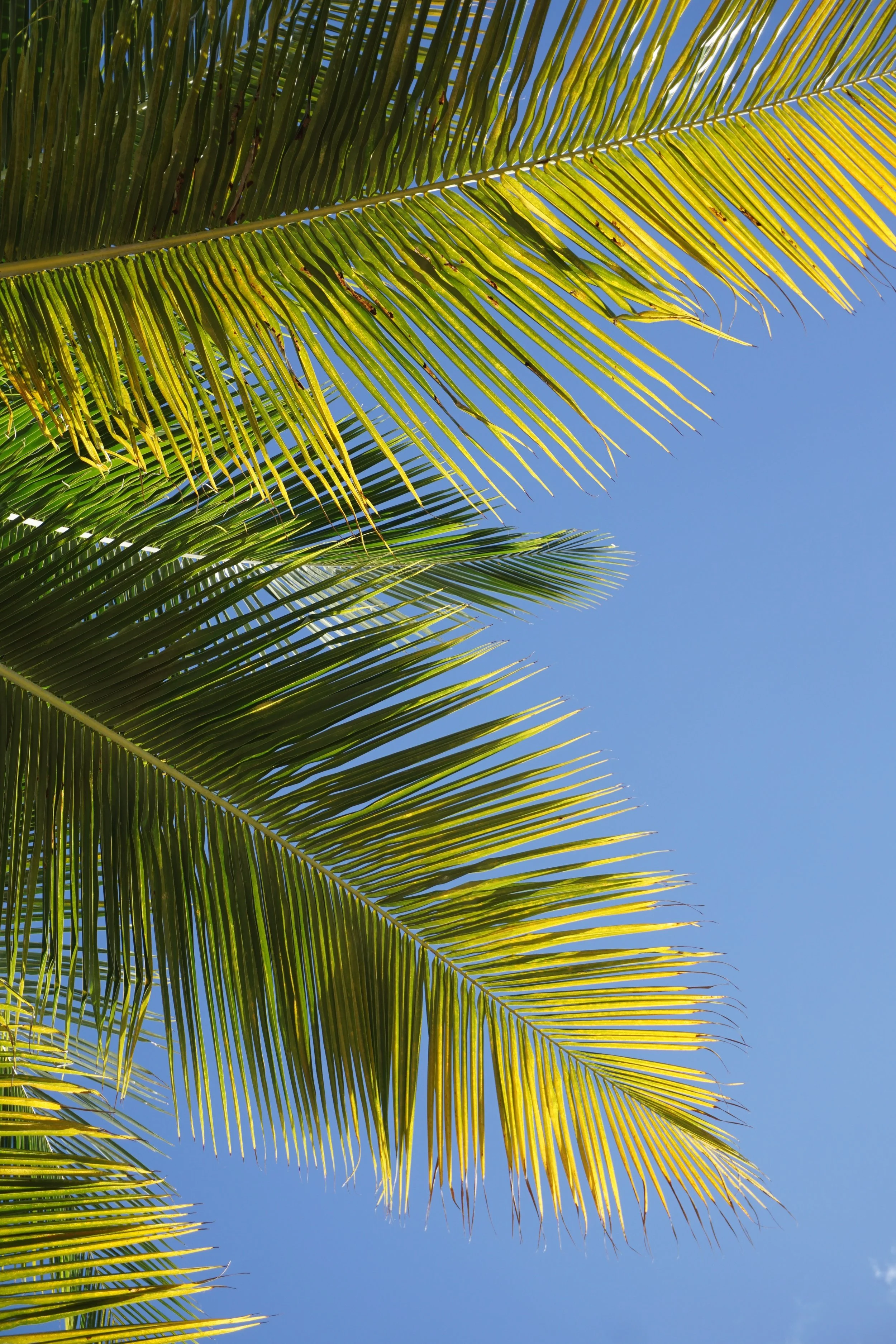 CFA Book Recommendations