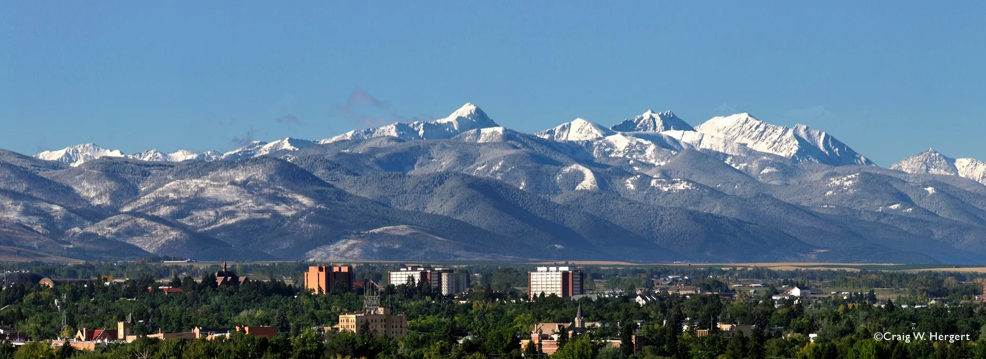 World Wildlife Fund Seeking Senior Program Officer