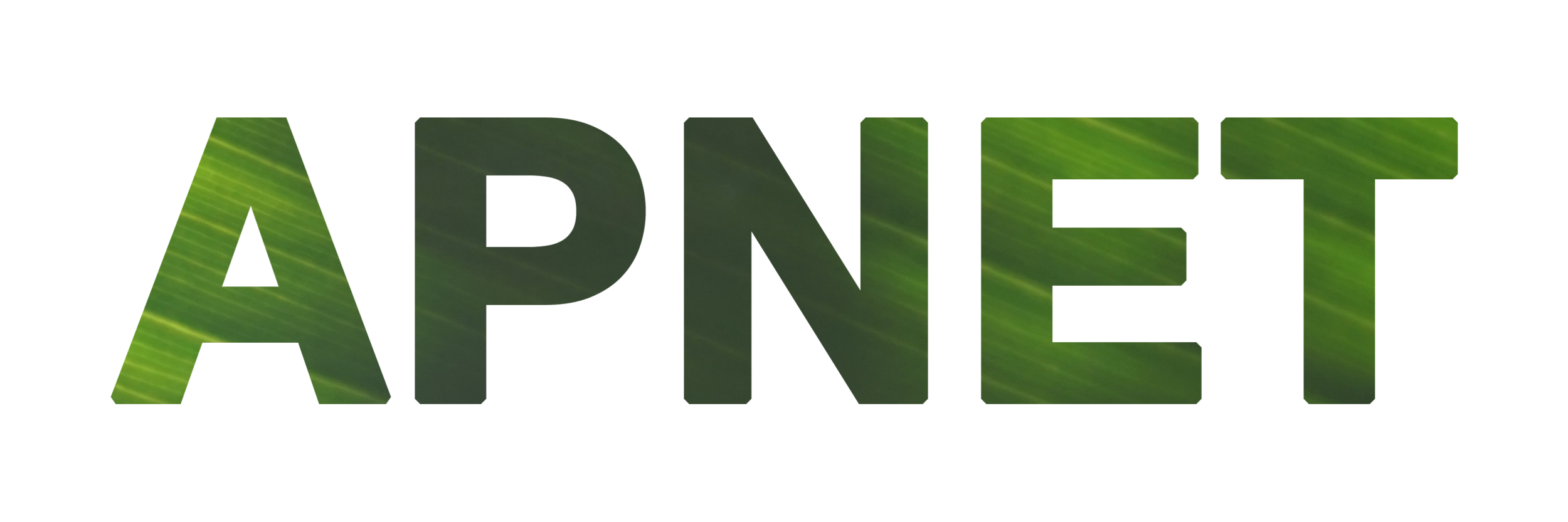 apnet fake logo.png