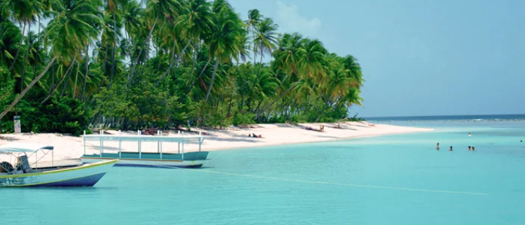 Pacific Ocean Finance Fellowship Program