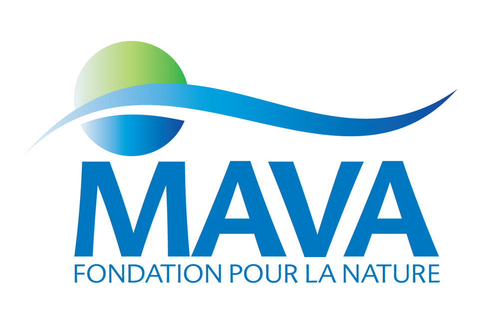 Logo MAVA'.jpg