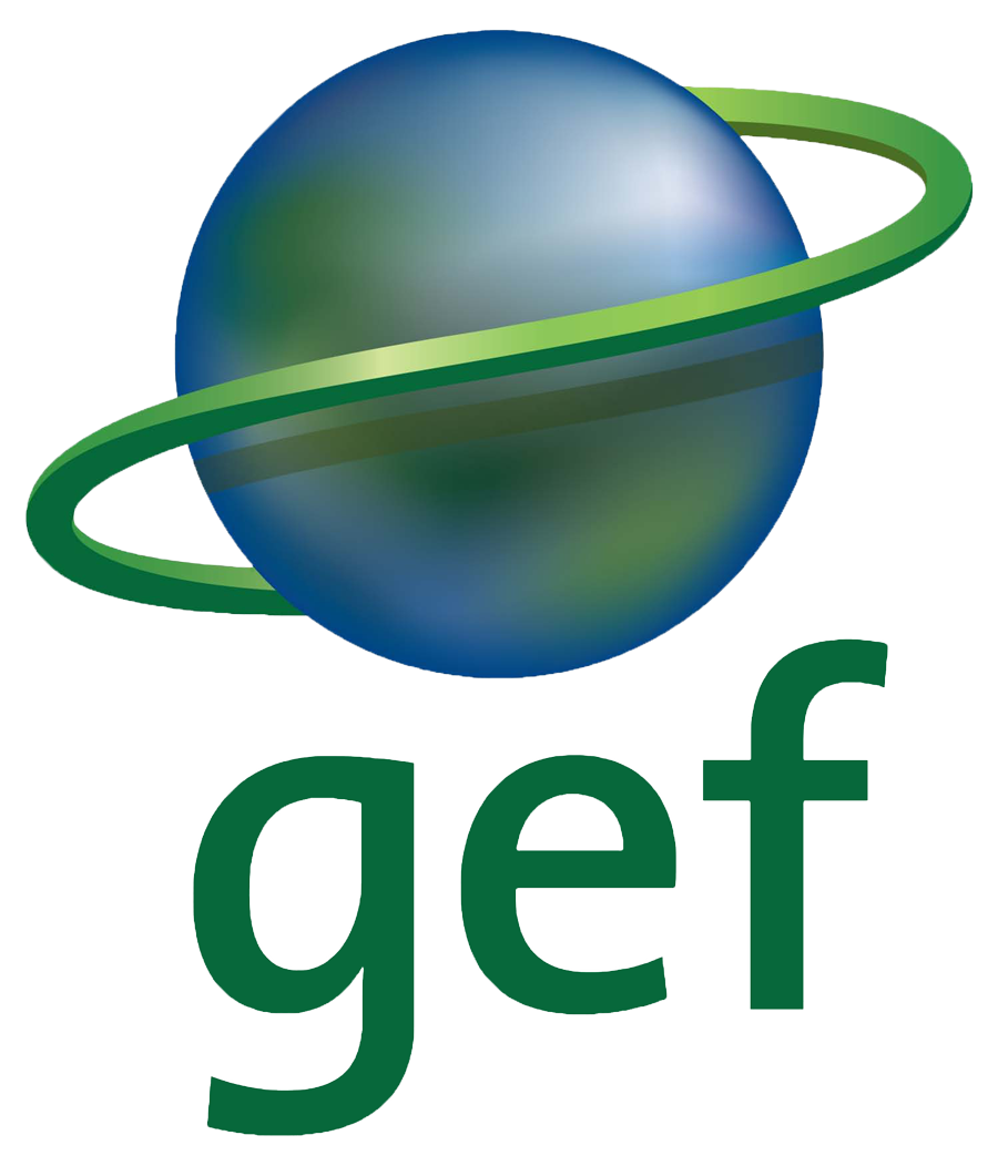 gef logo.png