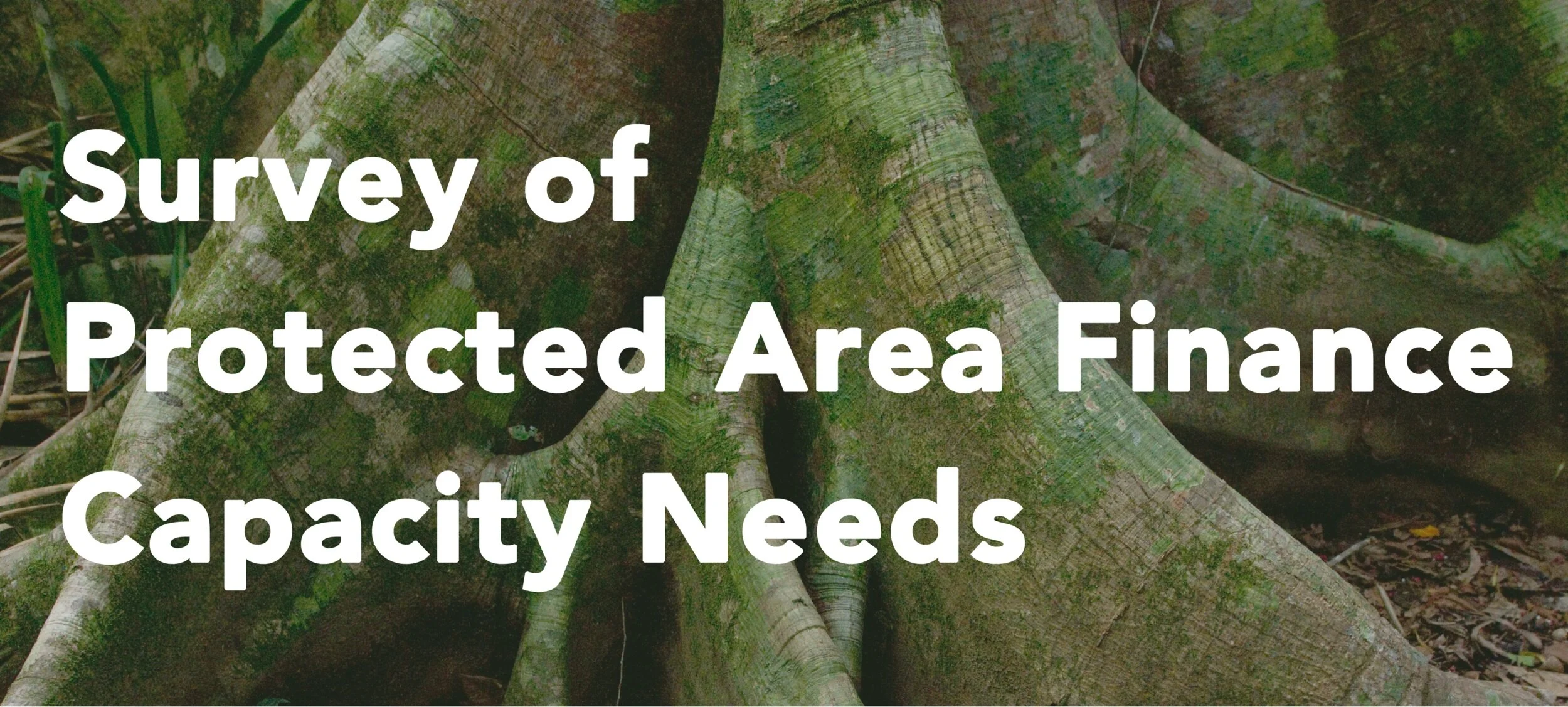 Results of Protected Areas Finance Capacity Needs Assessment