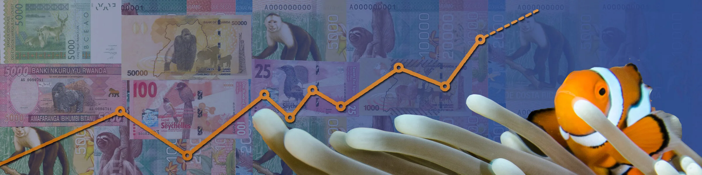 Incubator Header_9.jpg