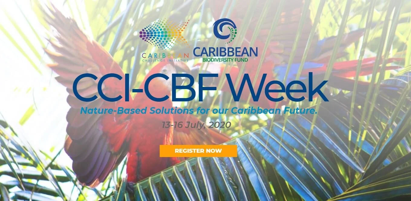 CCI - CBF Week 