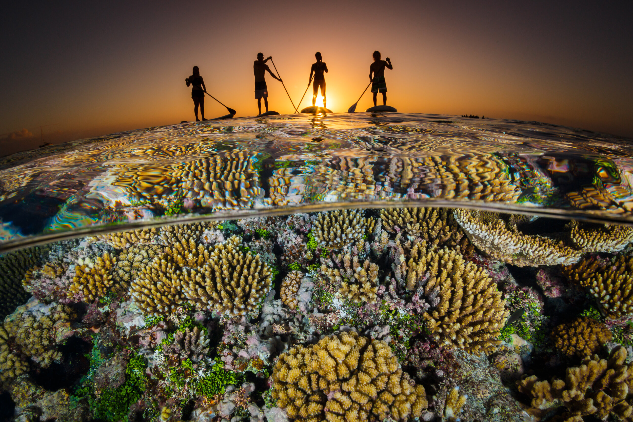 Global Fund for Coral Reefs Finance Alliance